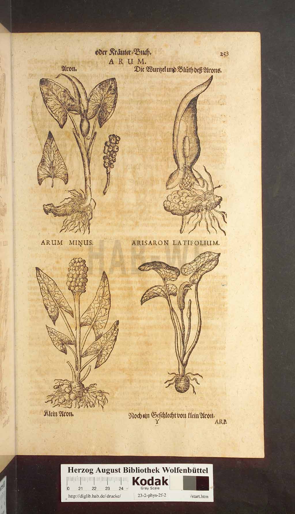 http://diglib.hab.de/drucke/23-2-phys-2f-2/00253.jpg