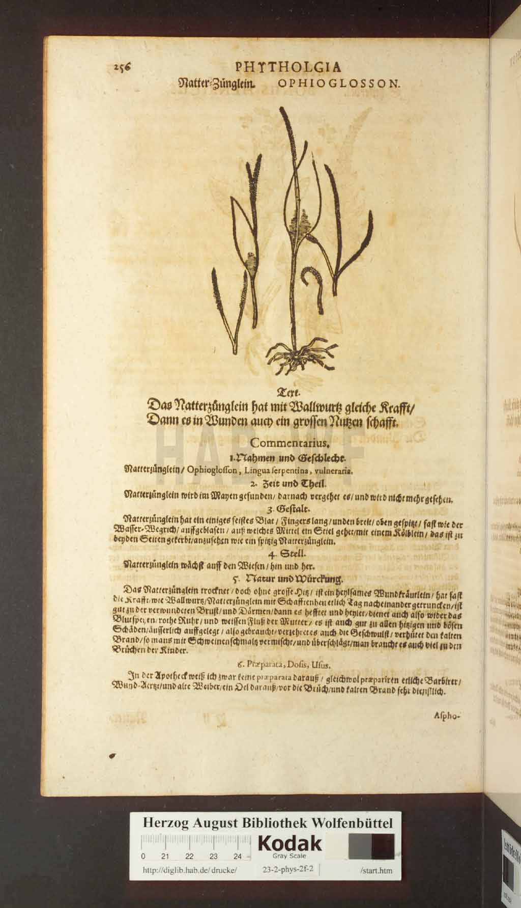 http://diglib.hab.de/drucke/23-2-phys-2f-2/00256.jpg