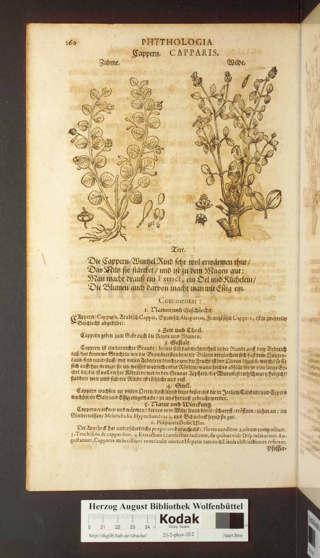 http://diglib.hab.de/drucke/23-2-phys-2f-2/00260.jpg