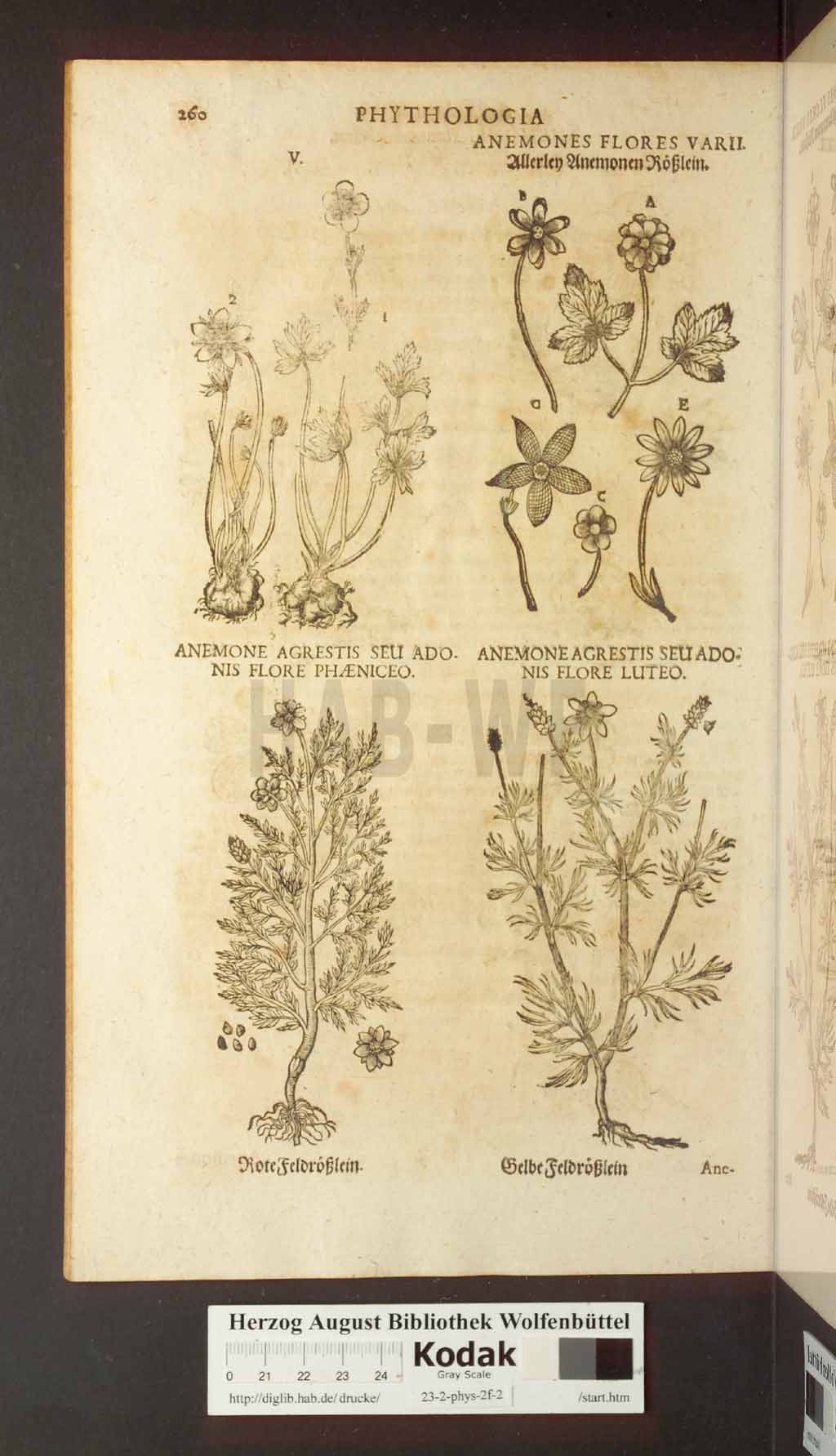 http://diglib.hab.de/drucke/23-2-phys-2f-2/00266.jpg