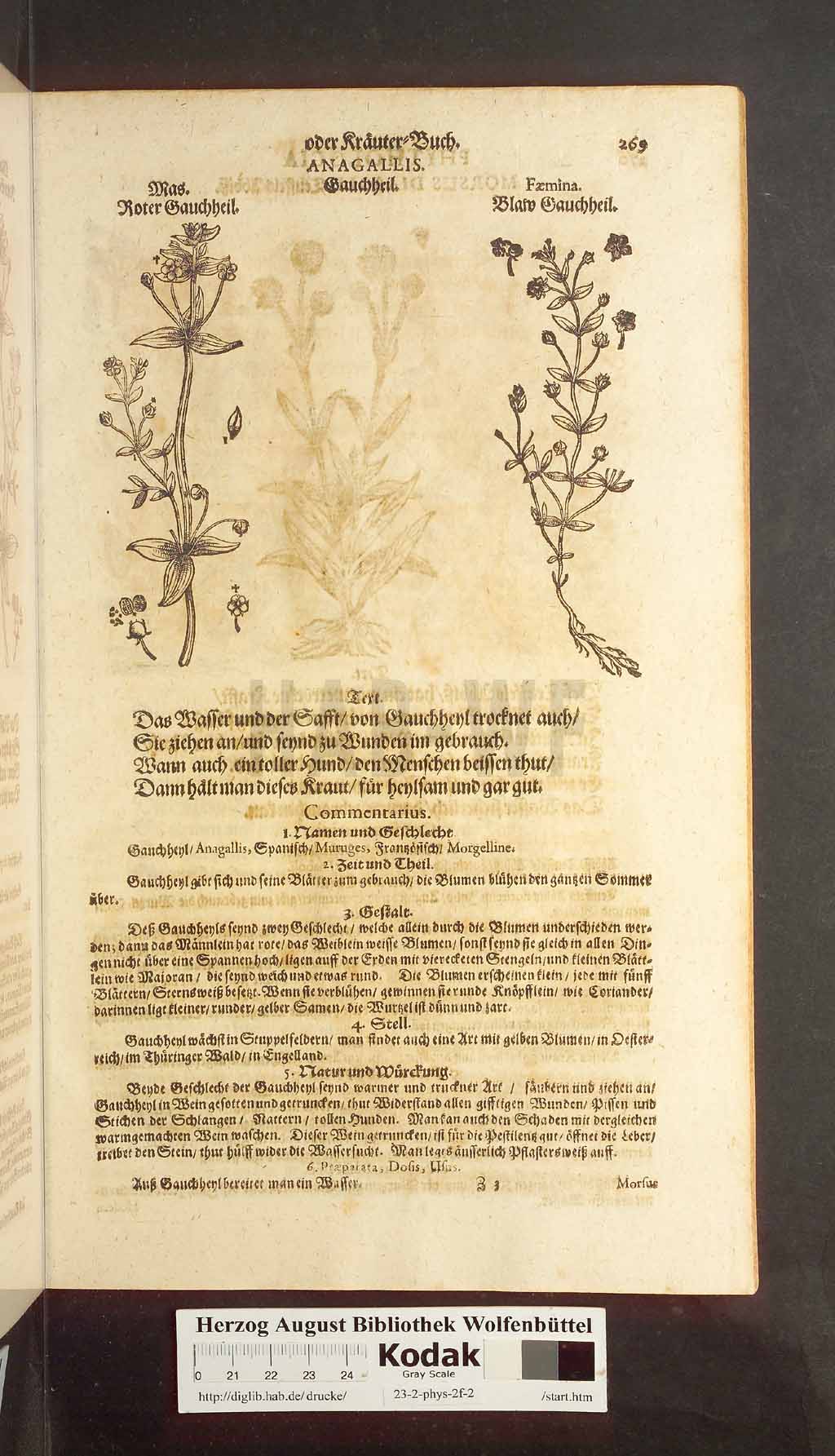 http://diglib.hab.de/drucke/23-2-phys-2f-2/00269.jpg