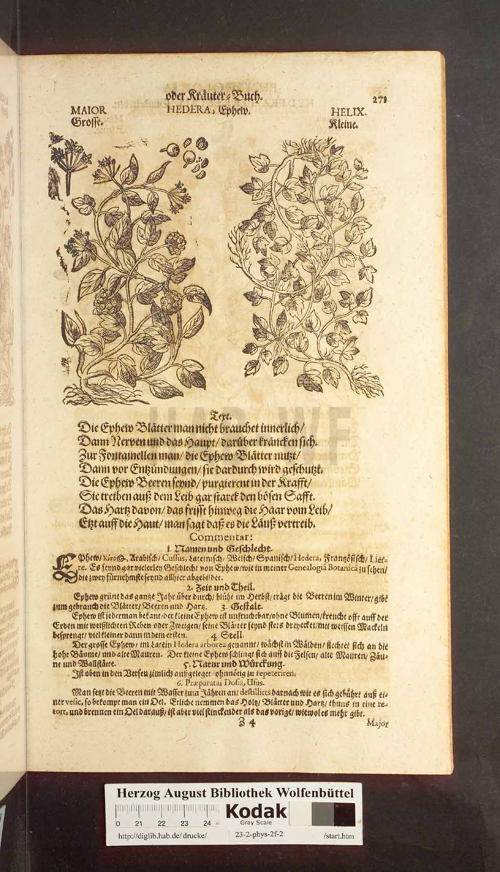 http://diglib.hab.de/drucke/23-2-phys-2f-2/00271.jpg