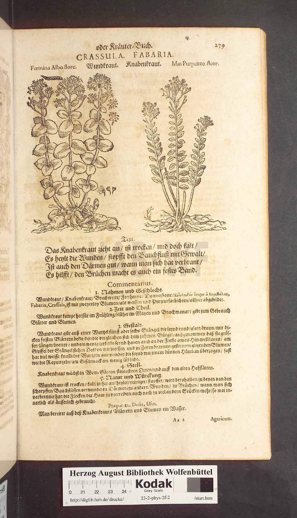http://diglib.hab.de/drucke/23-2-phys-2f-2/00279.jpg