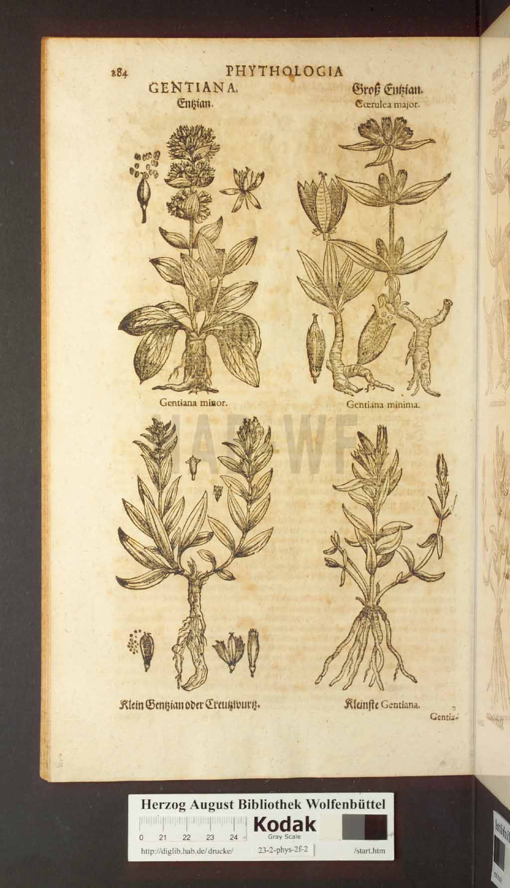 http://diglib.hab.de/drucke/23-2-phys-2f-2/00284.jpg
