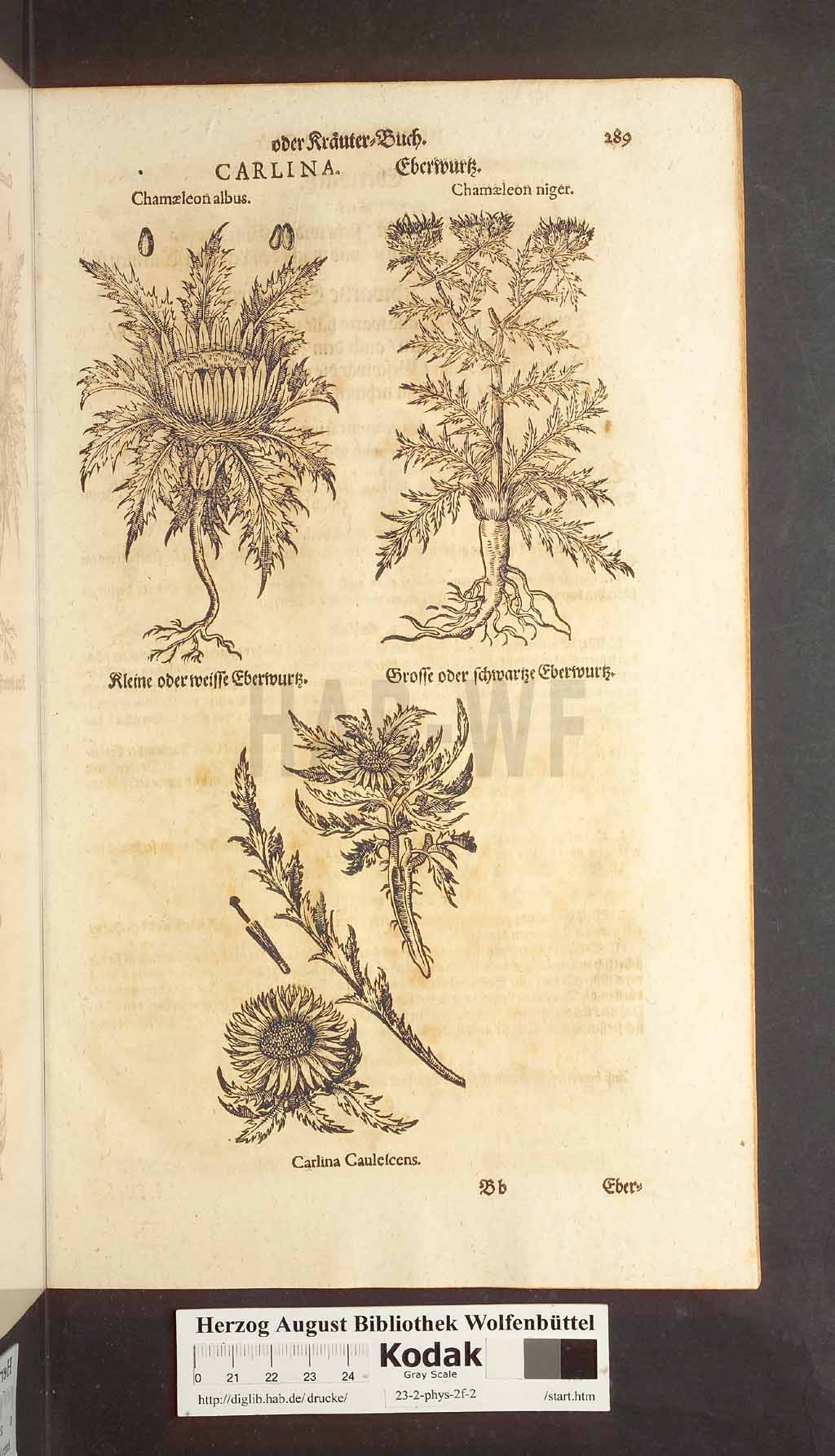 http://diglib.hab.de/drucke/23-2-phys-2f-2/00289.jpg