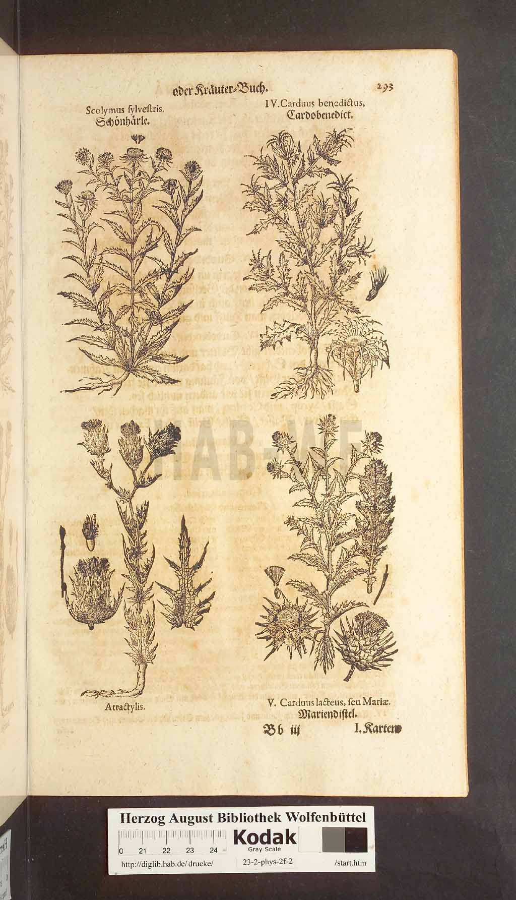 http://diglib.hab.de/drucke/23-2-phys-2f-2/00293.jpg