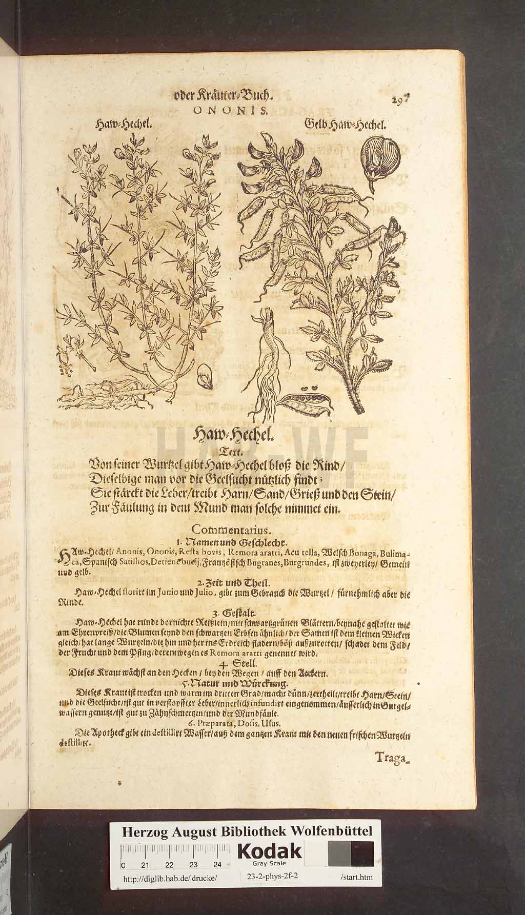 http://diglib.hab.de/drucke/23-2-phys-2f-2/00297.jpg