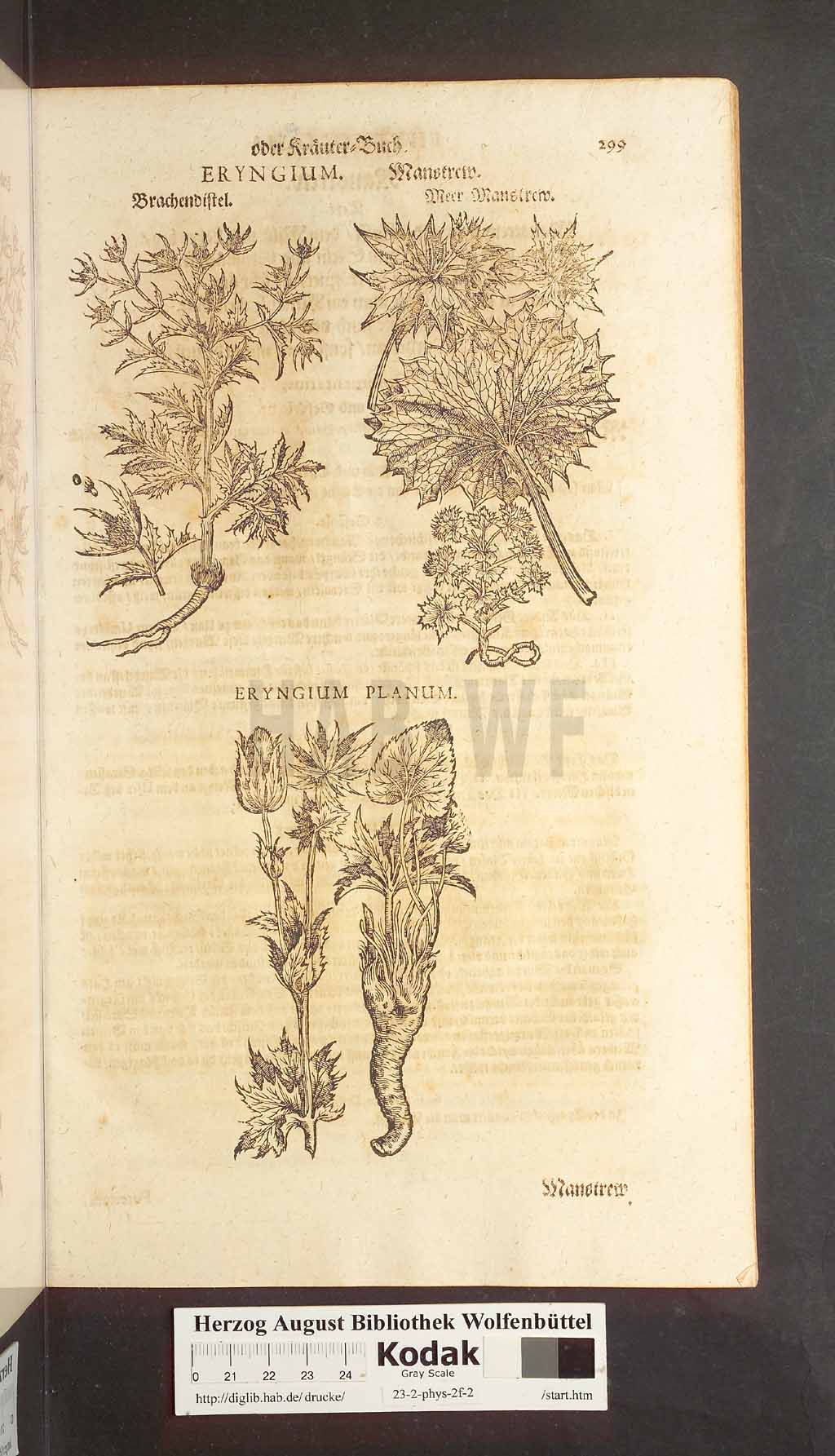 http://diglib.hab.de/drucke/23-2-phys-2f-2/00299.jpg