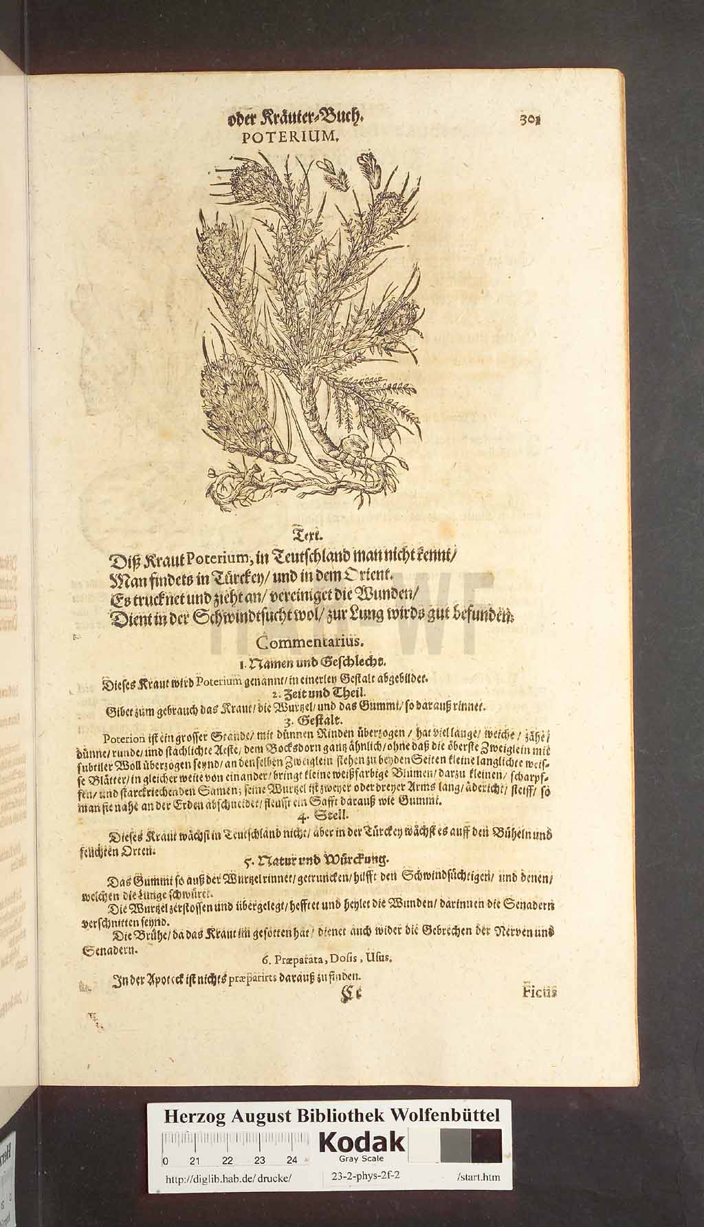 http://diglib.hab.de/drucke/23-2-phys-2f-2/00301.jpg