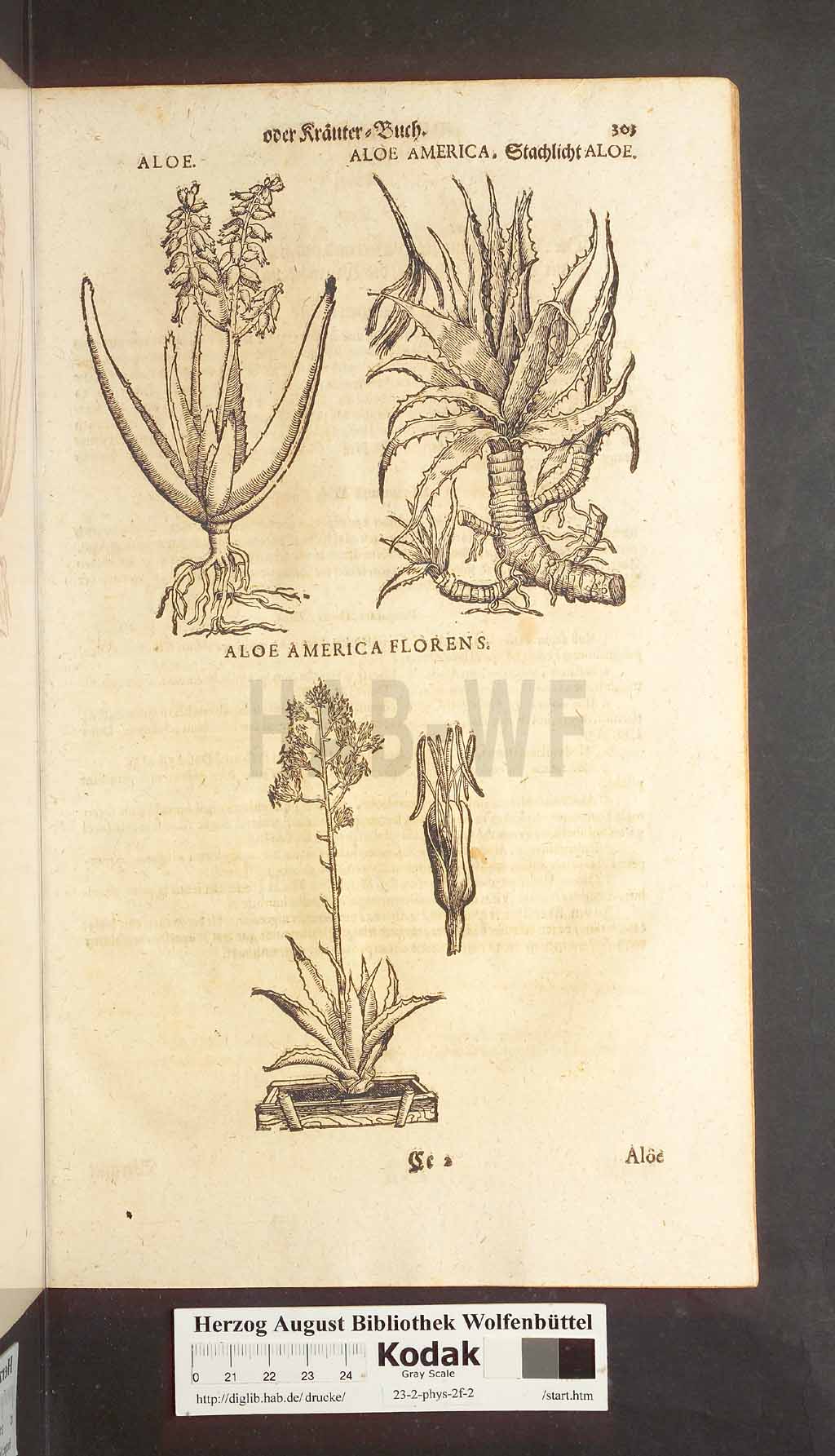 http://diglib.hab.de/drucke/23-2-phys-2f-2/00303.jpg