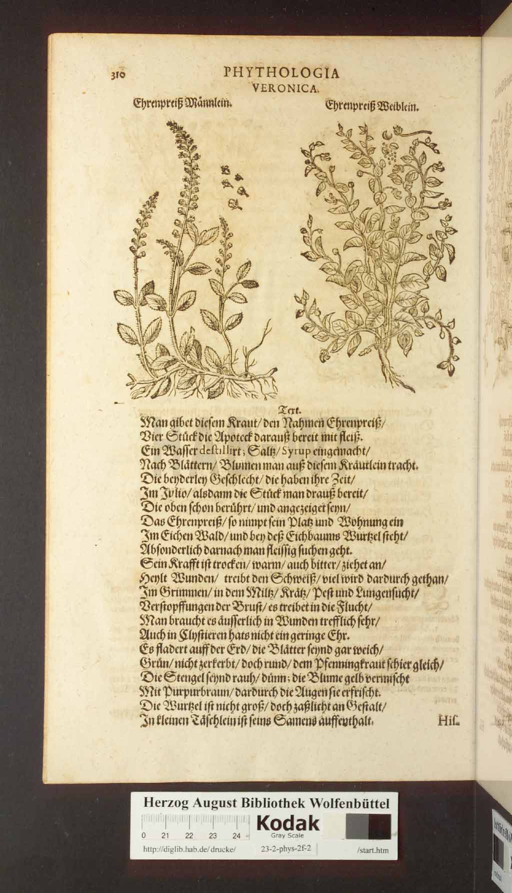 http://diglib.hab.de/drucke/23-2-phys-2f-2/00310.jpg
