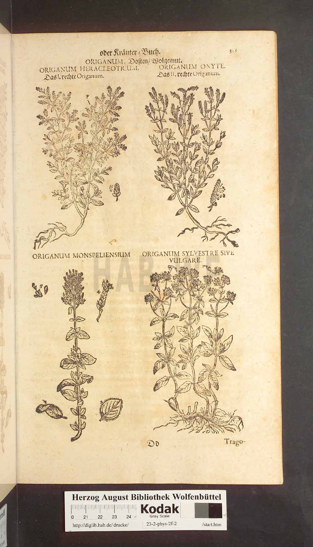 http://diglib.hab.de/drucke/23-2-phys-2f-2/00313.jpg