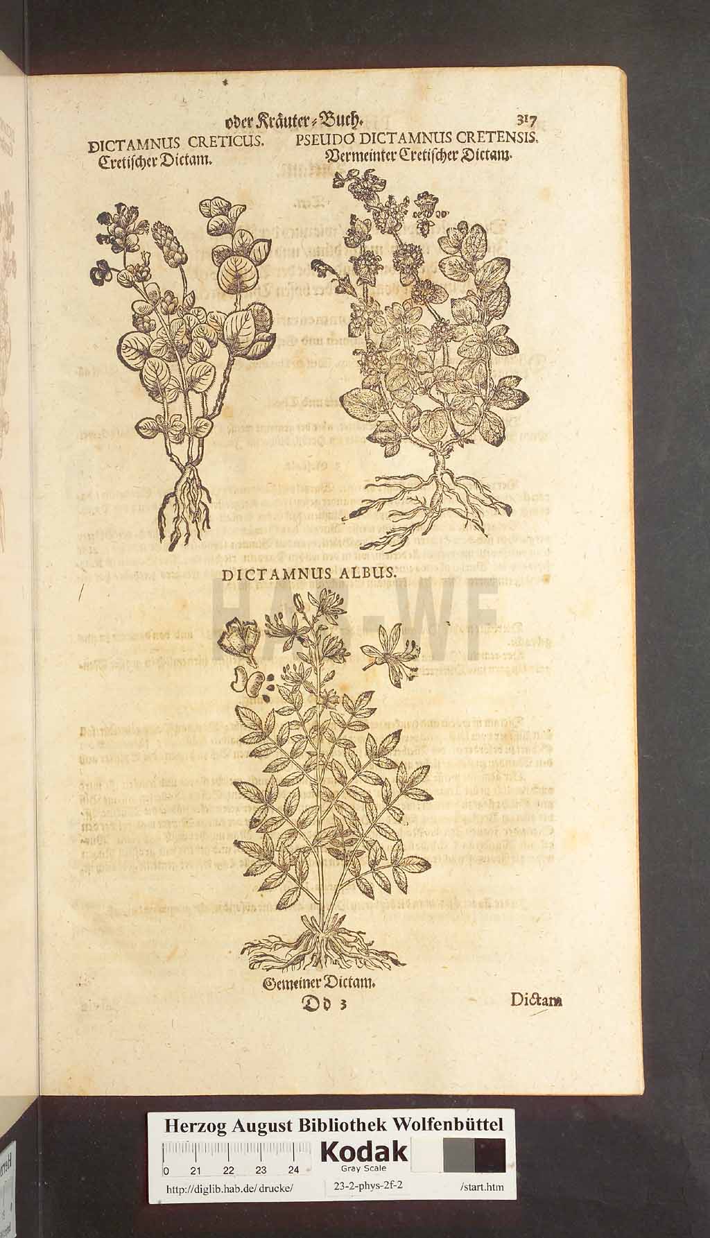 http://diglib.hab.de/drucke/23-2-phys-2f-2/00317.jpg
