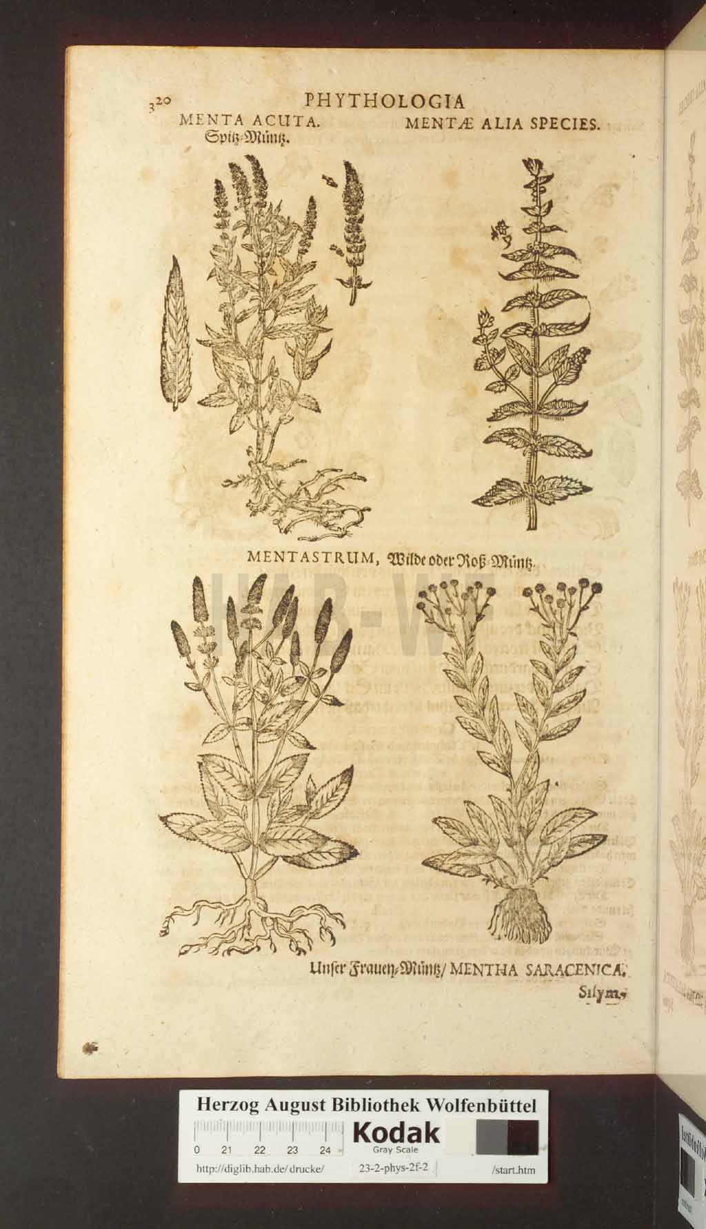 http://diglib.hab.de/drucke/23-2-phys-2f-2/00320.jpg