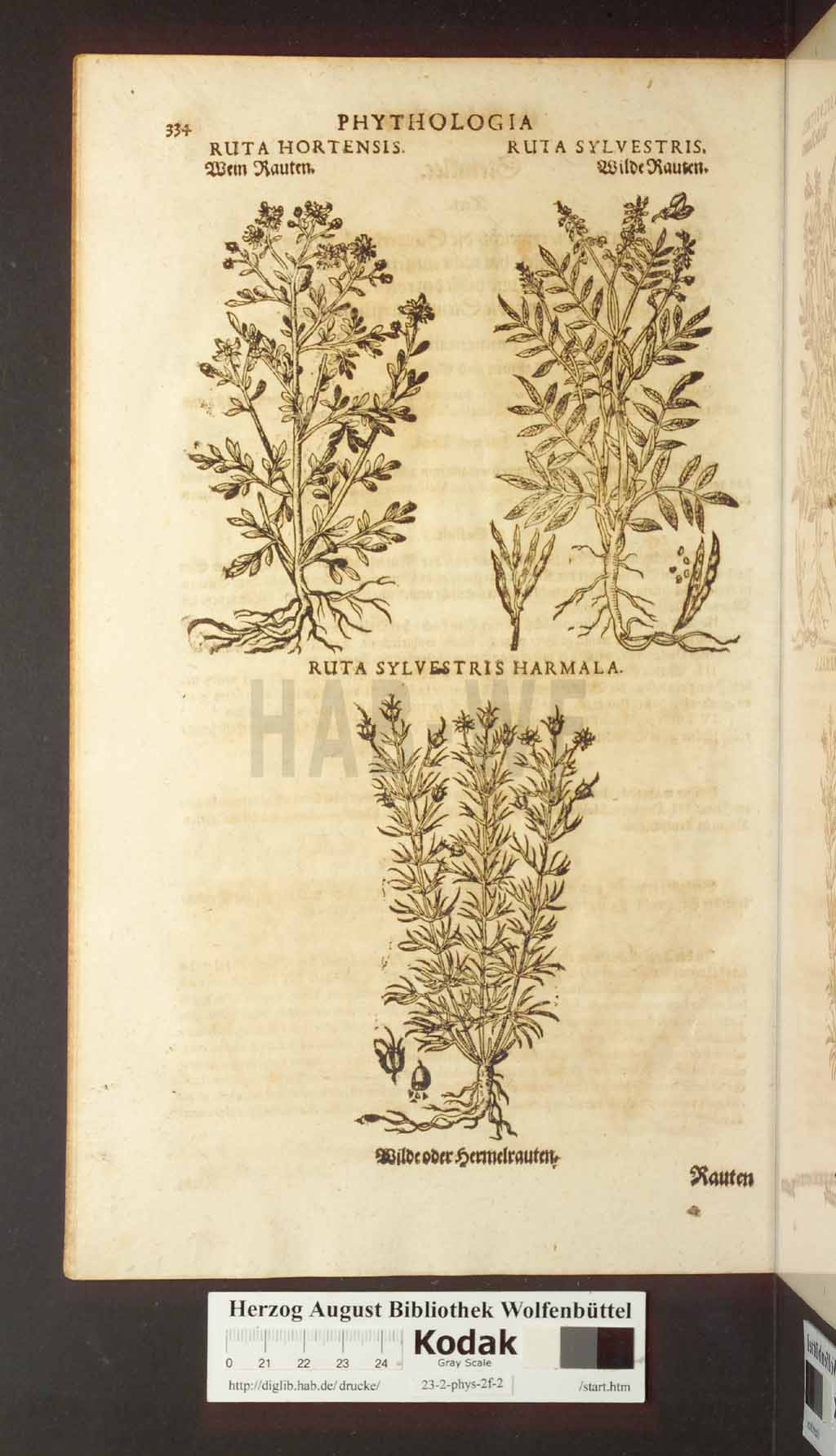 http://diglib.hab.de/drucke/23-2-phys-2f-2/00334.jpg