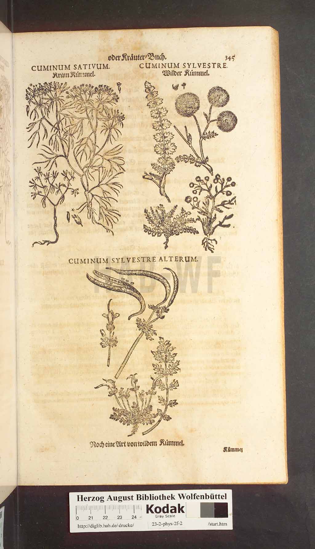http://diglib.hab.de/drucke/23-2-phys-2f-2/00345.jpg