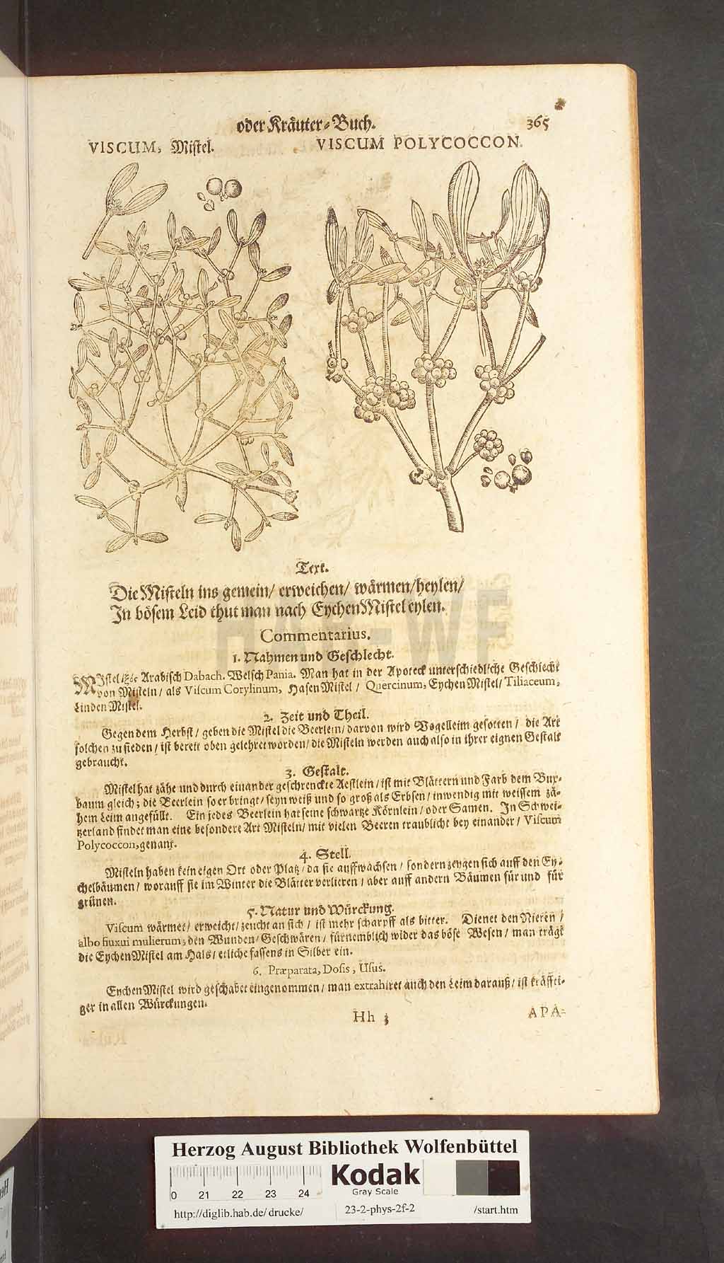 http://diglib.hab.de/drucke/23-2-phys-2f-2/00365.jpg