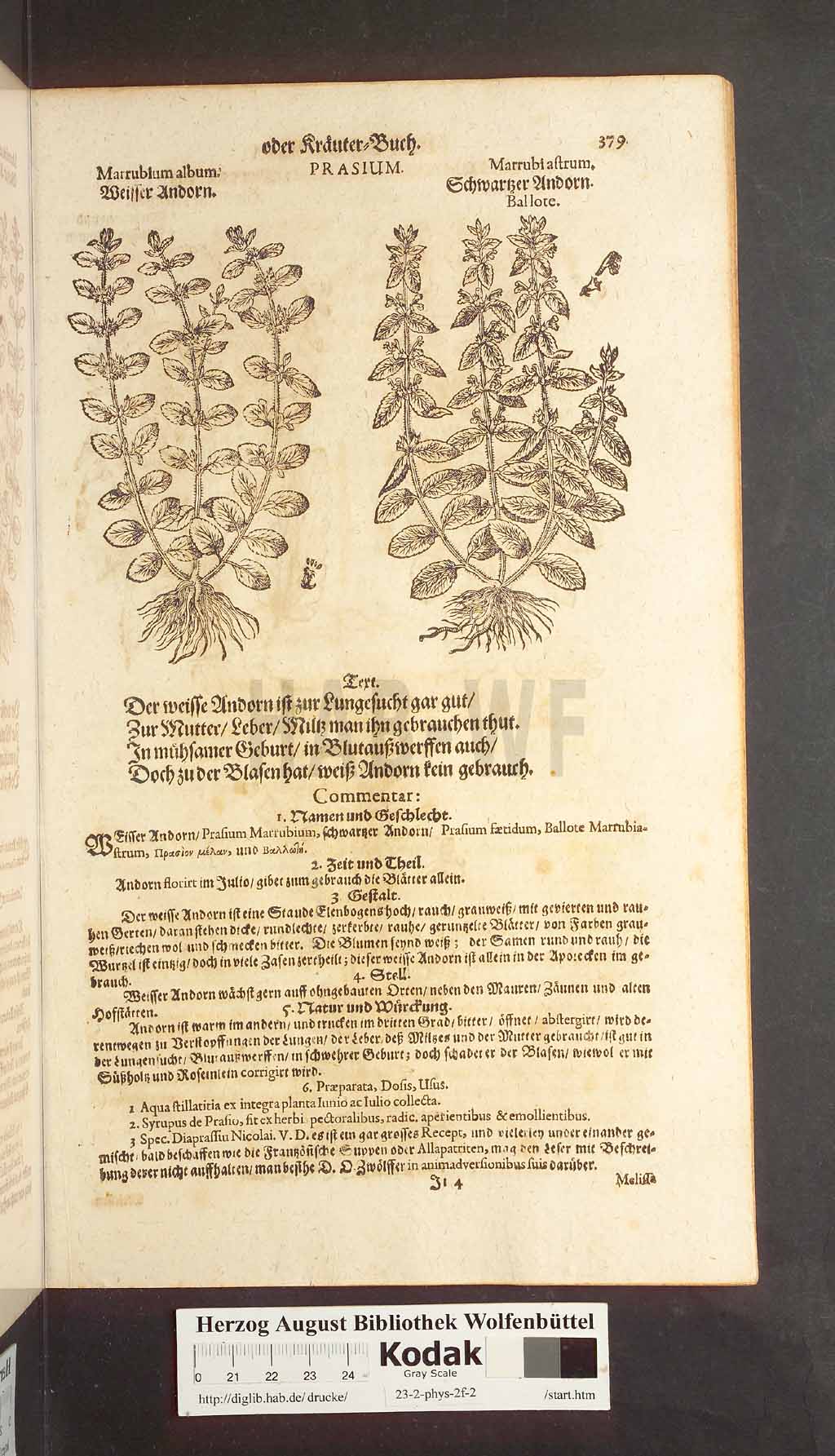 http://diglib.hab.de/drucke/23-2-phys-2f-2/00379.jpg