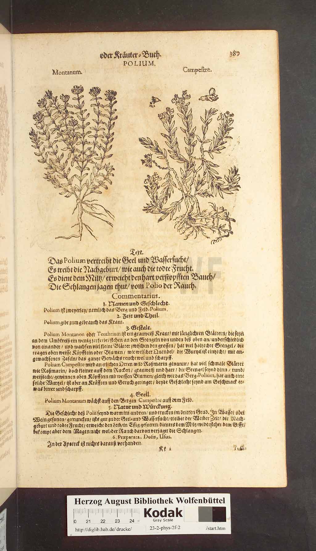 http://diglib.hab.de/drucke/23-2-phys-2f-2/00387.jpg