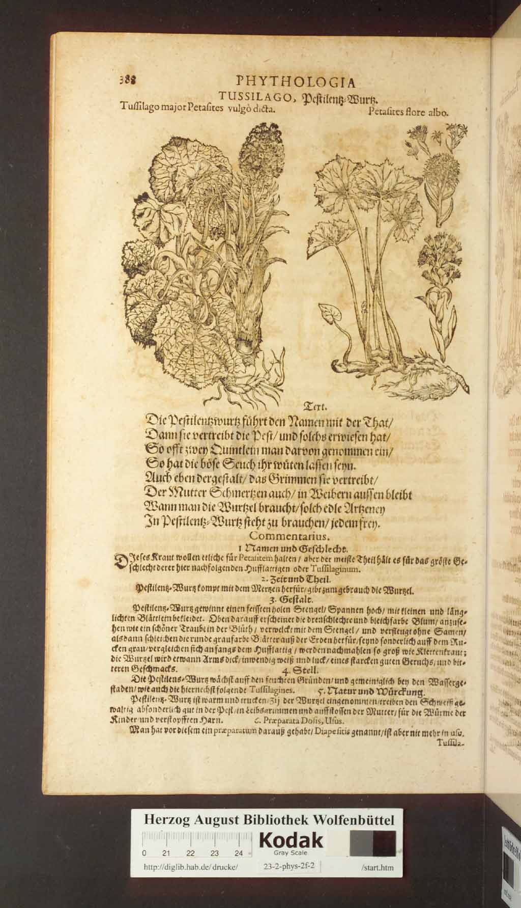 http://diglib.hab.de/drucke/23-2-phys-2f-2/00388.jpg