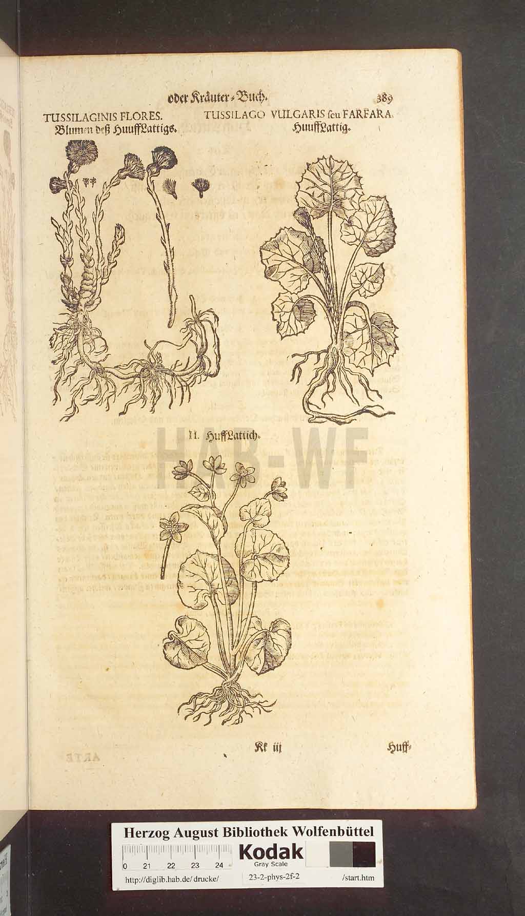 http://diglib.hab.de/drucke/23-2-phys-2f-2/00389.jpg