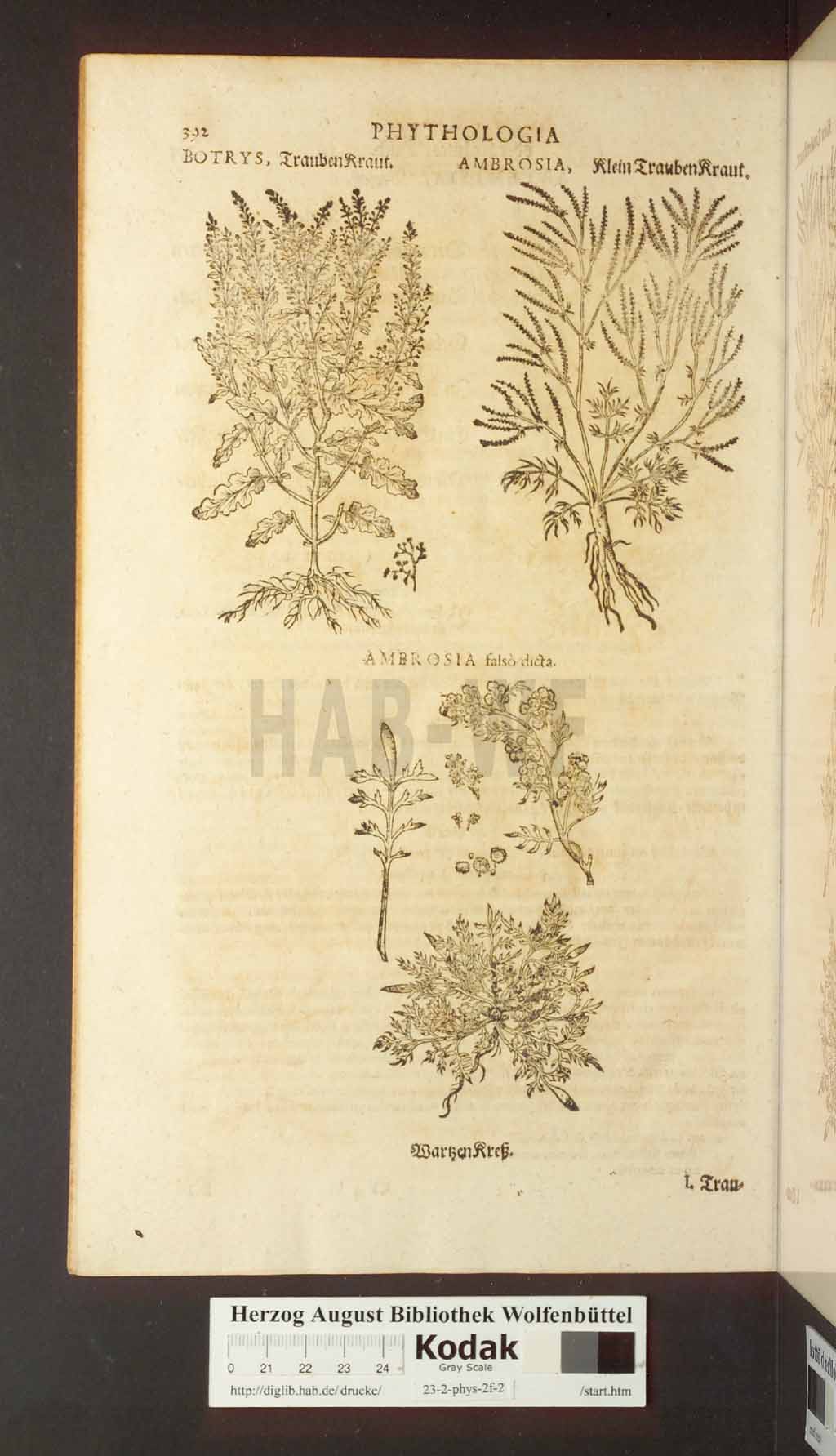 http://diglib.hab.de/drucke/23-2-phys-2f-2/00392.jpg