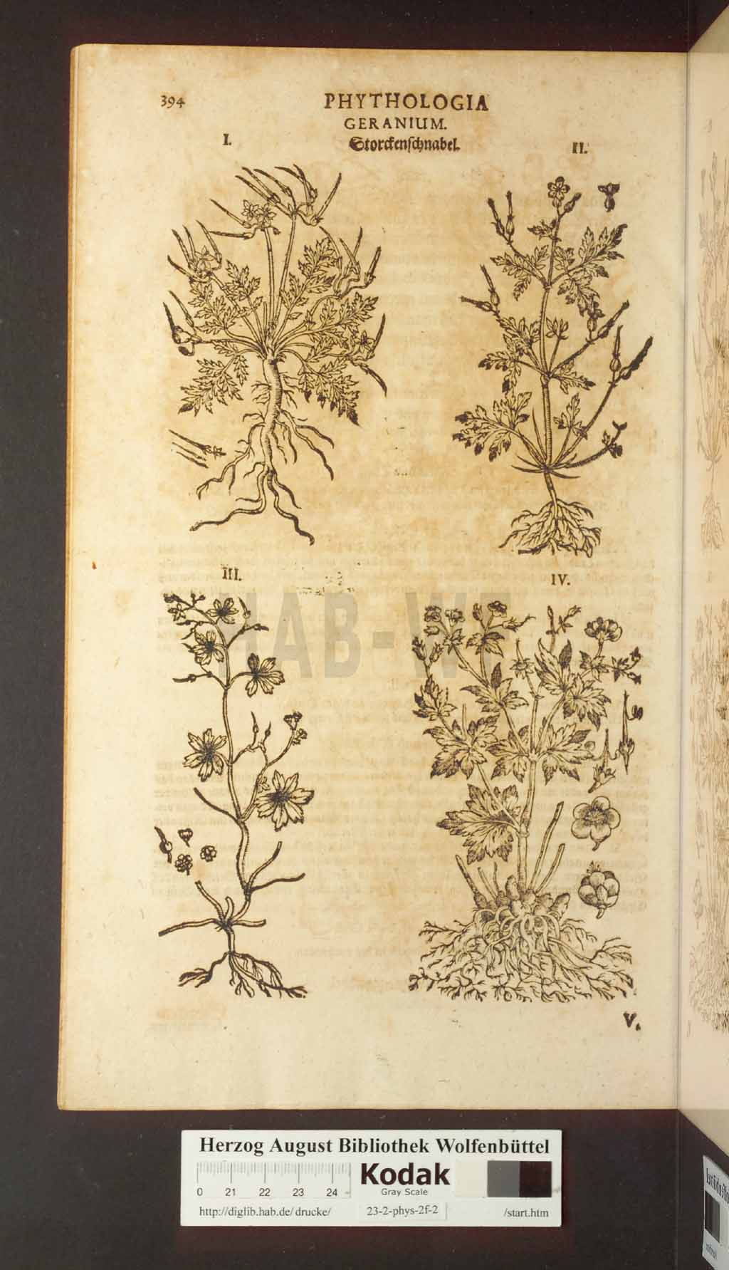 http://diglib.hab.de/drucke/23-2-phys-2f-2/00394.jpg