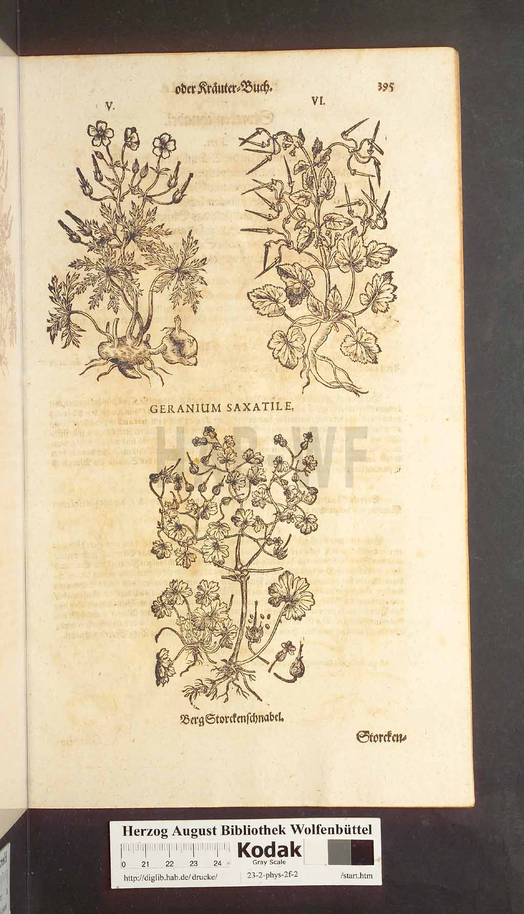 http://diglib.hab.de/drucke/23-2-phys-2f-2/00395.jpg