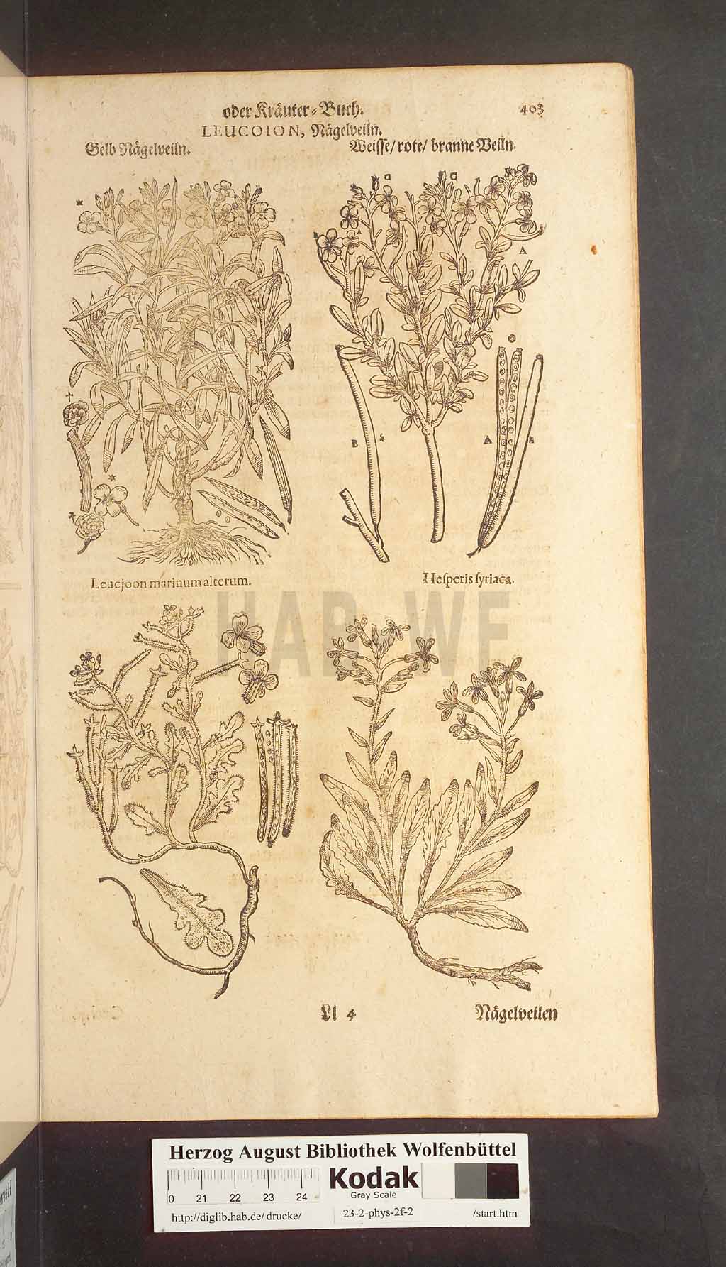 http://diglib.hab.de/drucke/23-2-phys-2f-2/00403.jpg