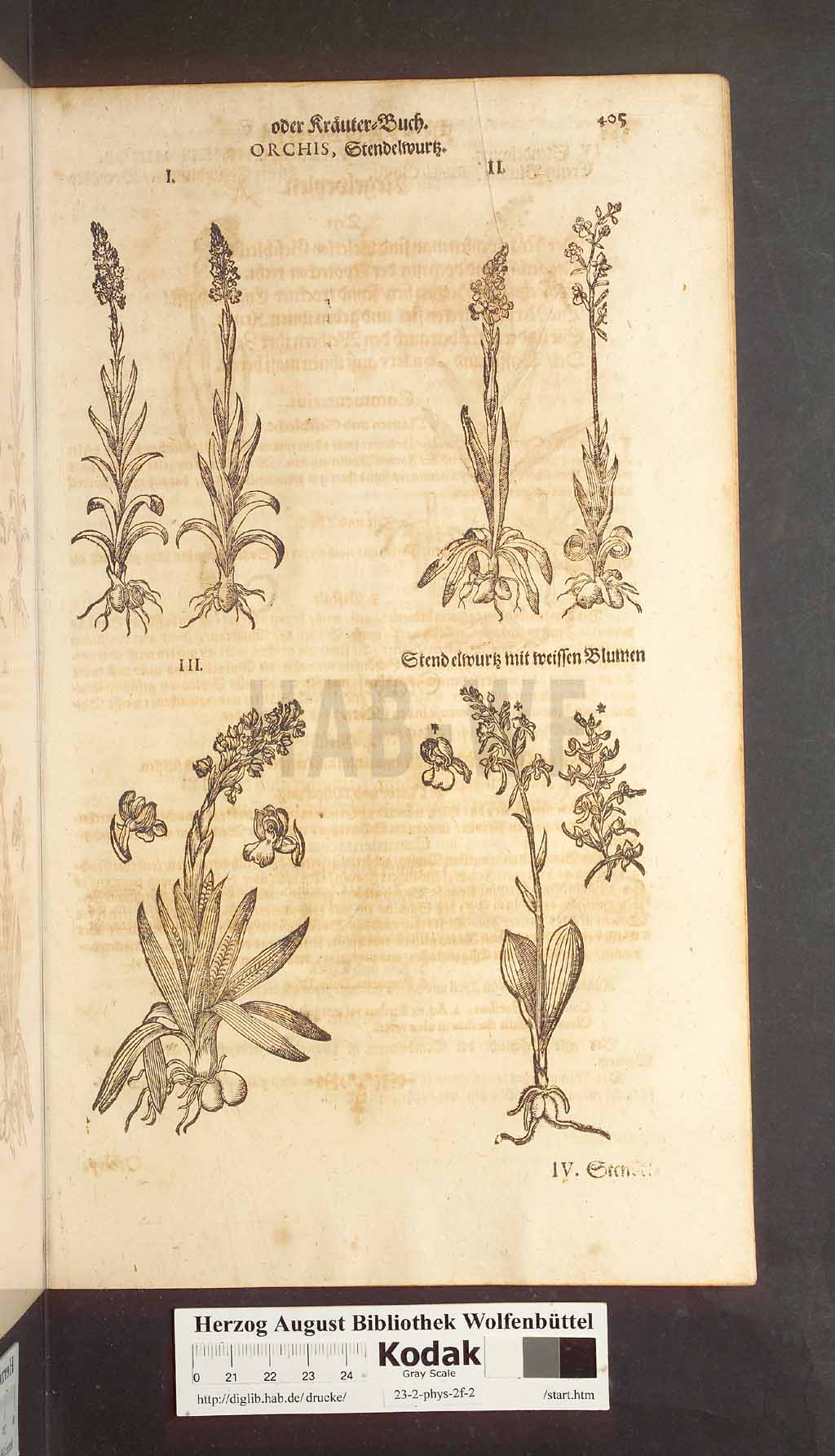 http://diglib.hab.de/drucke/23-2-phys-2f-2/00405.jpg