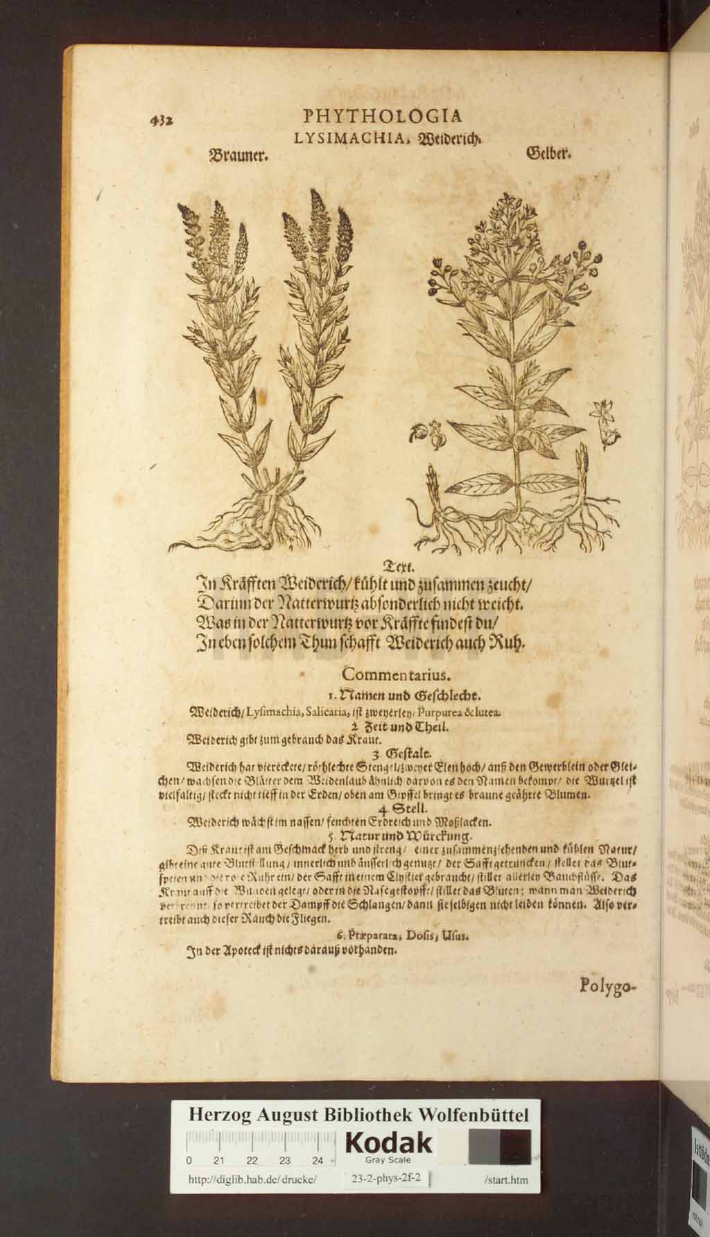 http://diglib.hab.de/drucke/23-2-phys-2f-2/00432.jpg