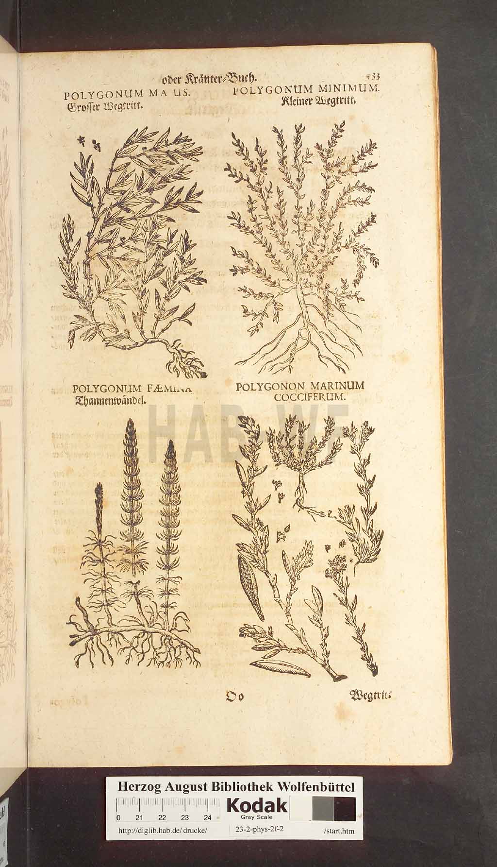 http://diglib.hab.de/drucke/23-2-phys-2f-2/00433.jpg