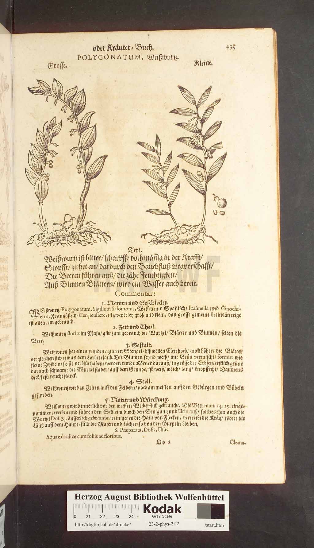 http://diglib.hab.de/drucke/23-2-phys-2f-2/00435.jpg