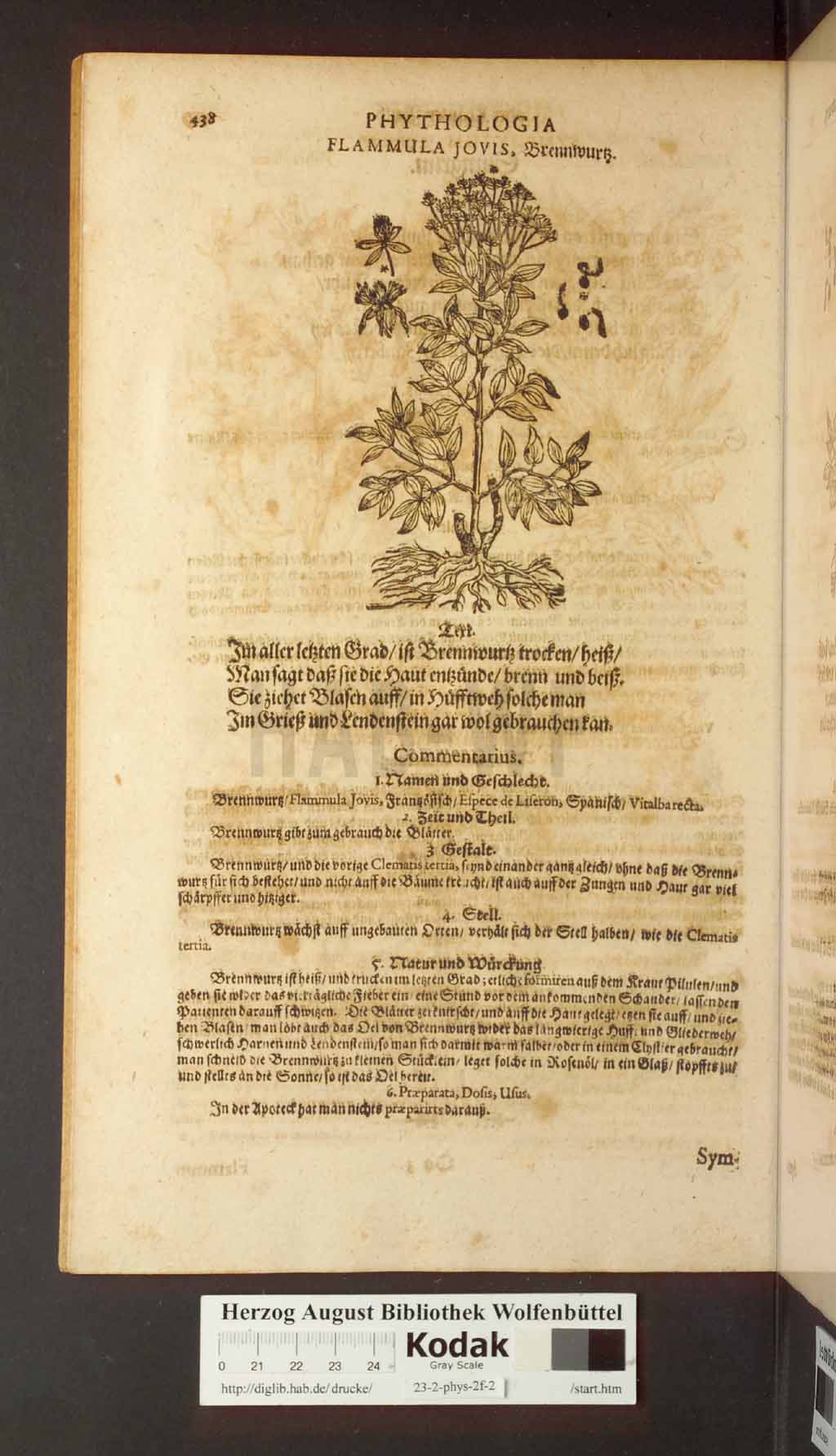 http://diglib.hab.de/drucke/23-2-phys-2f-2/00438.jpg