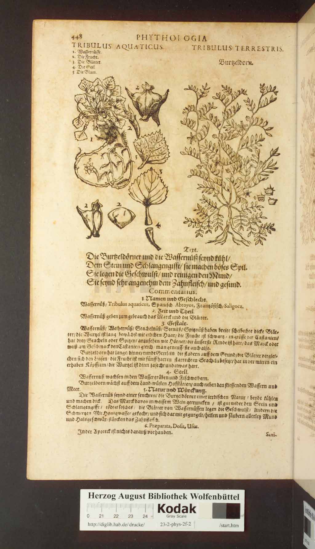 http://diglib.hab.de/drucke/23-2-phys-2f-2/00448.jpg