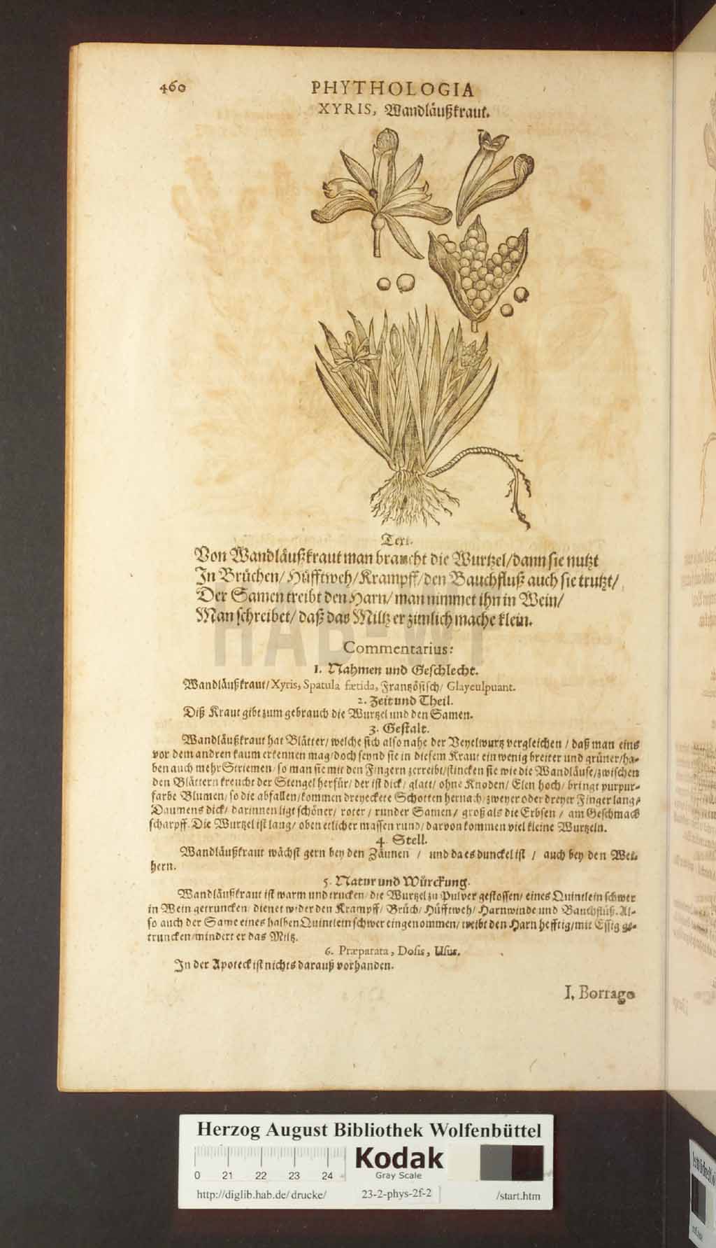 http://diglib.hab.de/drucke/23-2-phys-2f-2/00460.jpg