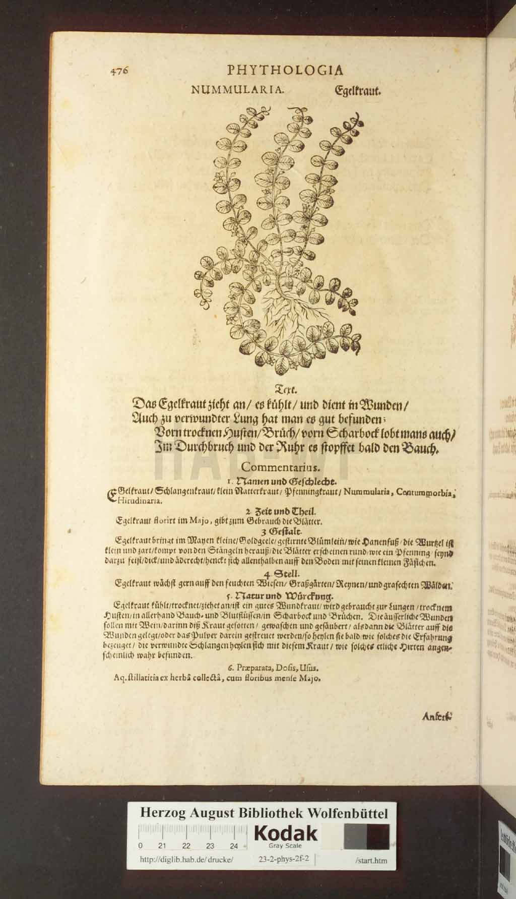 http://diglib.hab.de/drucke/23-2-phys-2f-2/00476.jpg