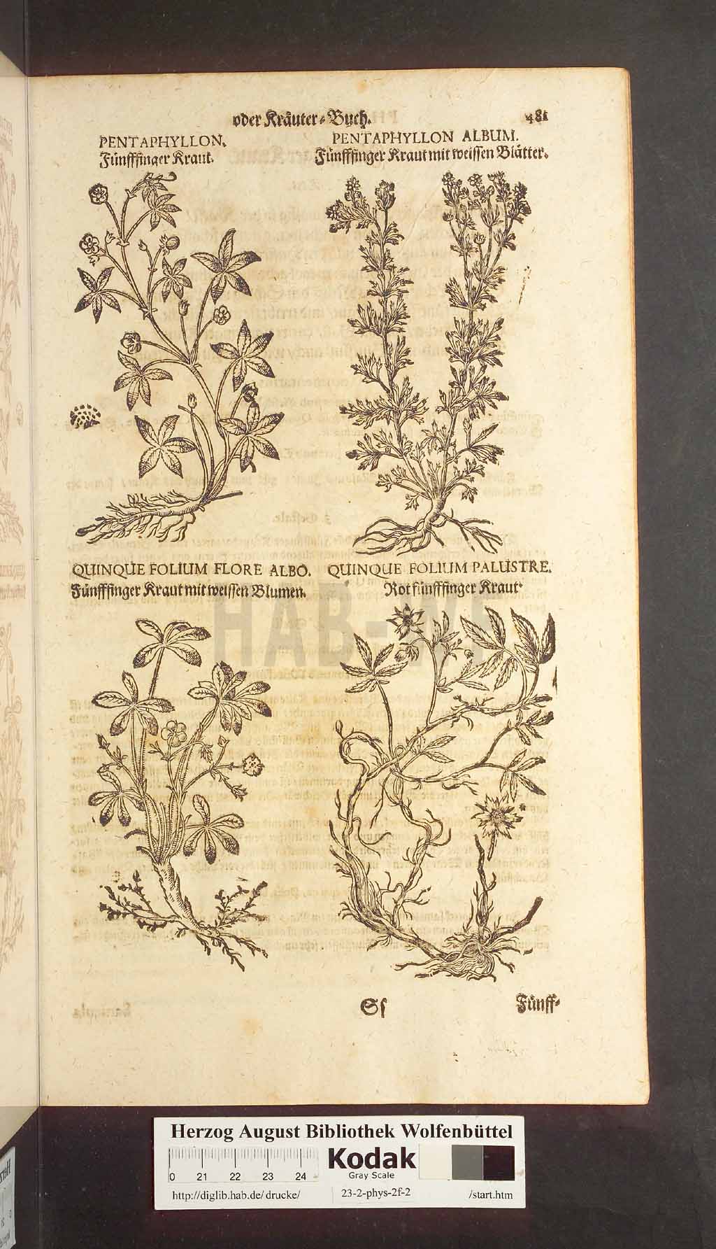 http://diglib.hab.de/drucke/23-2-phys-2f-2/00481.jpg