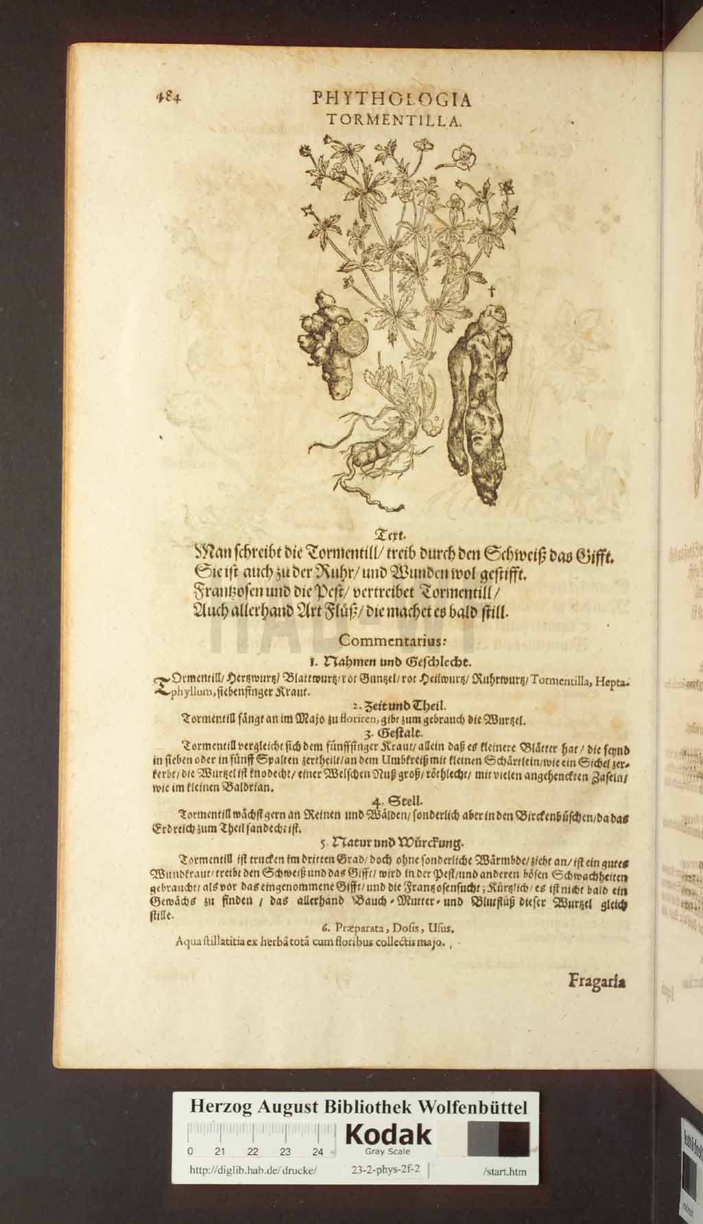 http://diglib.hab.de/drucke/23-2-phys-2f-2/00484.jpg