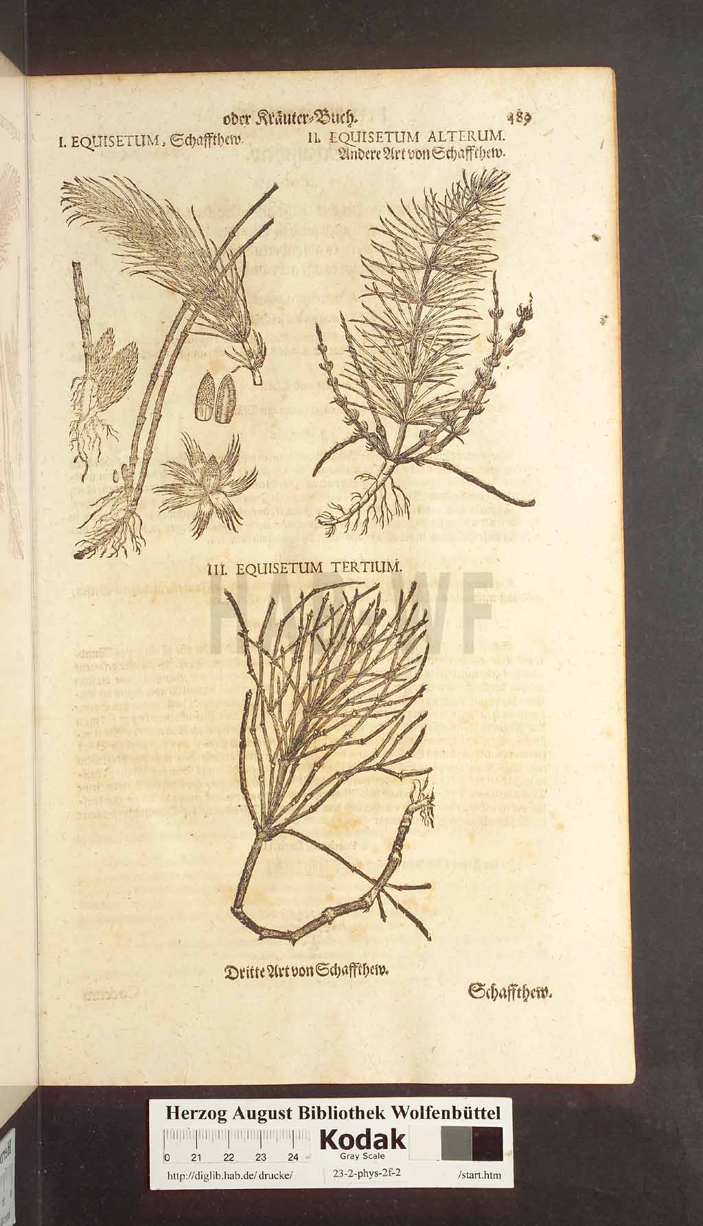 http://diglib.hab.de/drucke/23-2-phys-2f-2/00489.jpg
