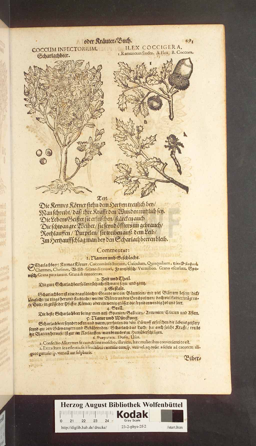 http://diglib.hab.de/drucke/23-2-phys-2f-2/00491.jpg