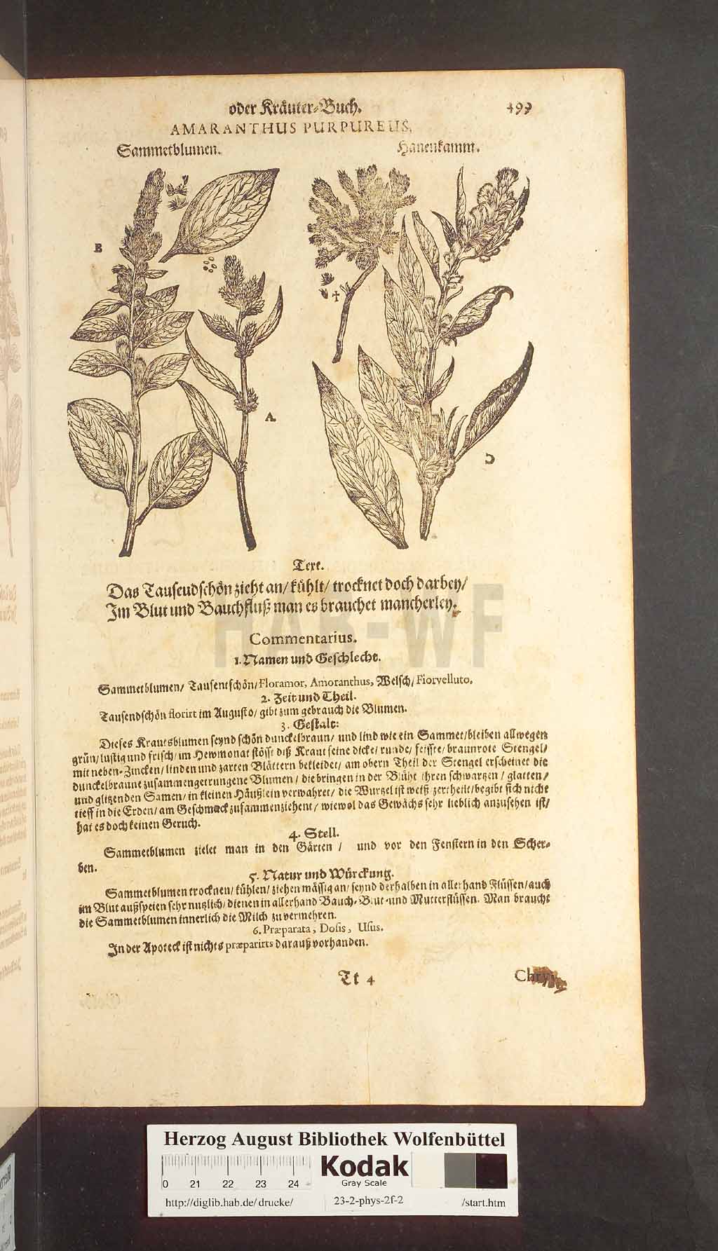 http://diglib.hab.de/drucke/23-2-phys-2f-2/00499.jpg