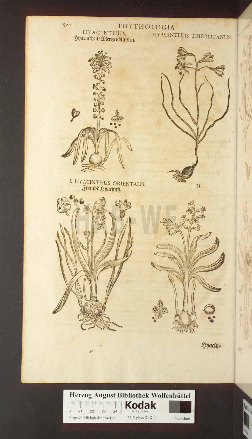 http://diglib.hab.de/drucke/23-2-phys-2f-2/00504.jpg