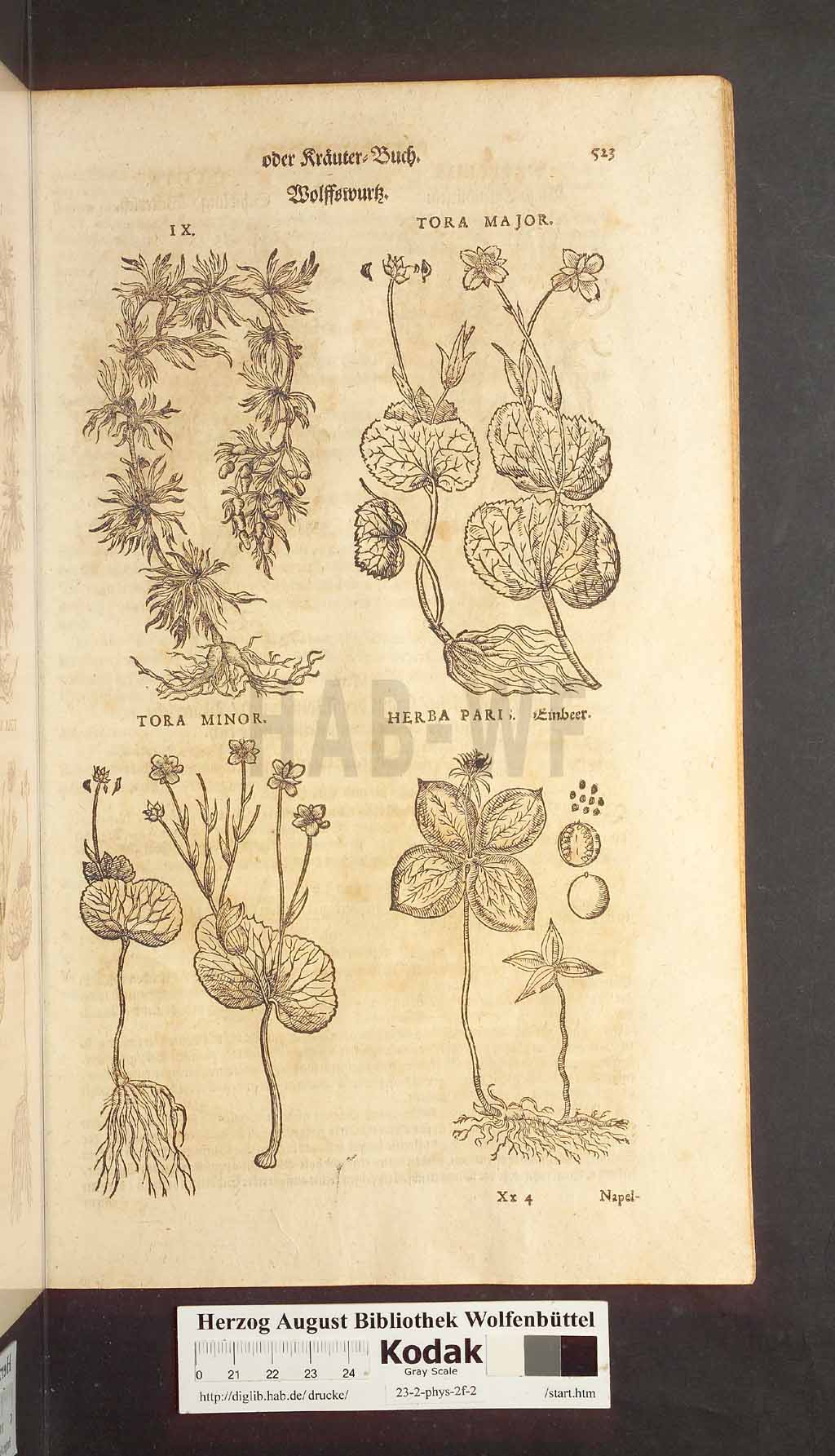 http://diglib.hab.de/drucke/23-2-phys-2f-2/00523.jpg