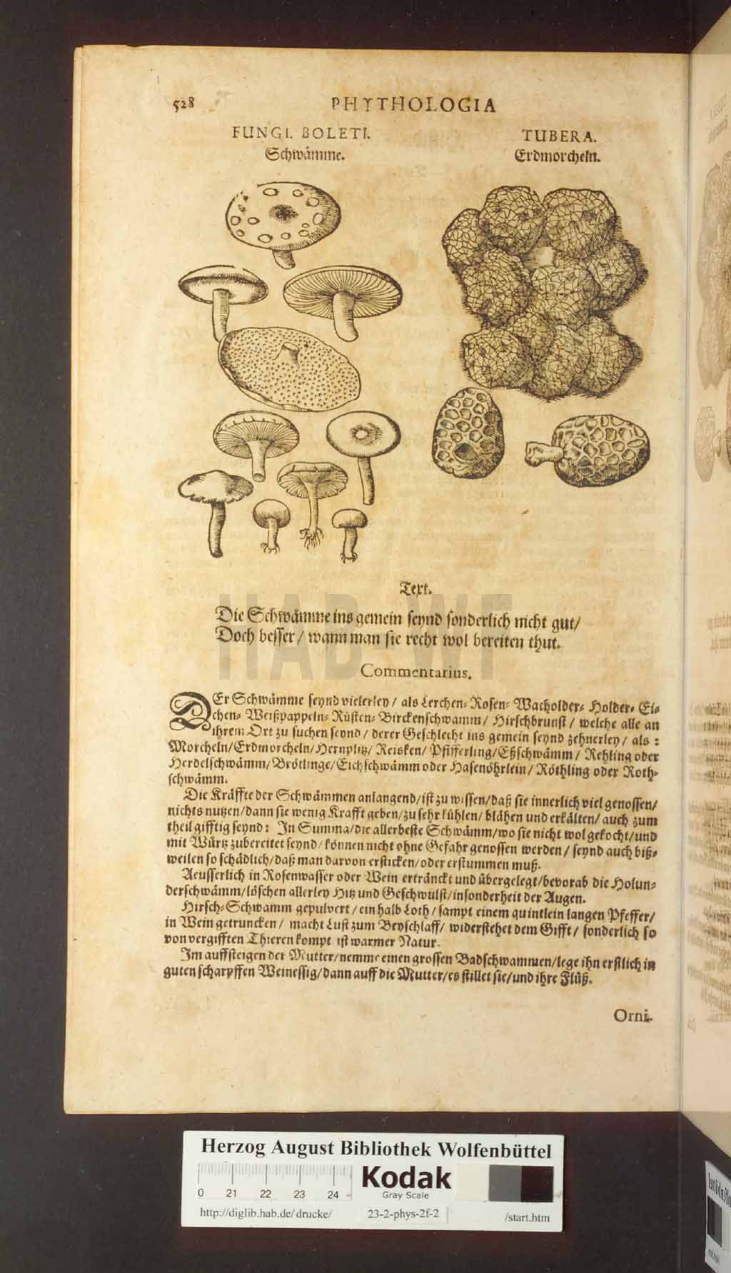 http://diglib.hab.de/drucke/23-2-phys-2f-2/00528.jpg