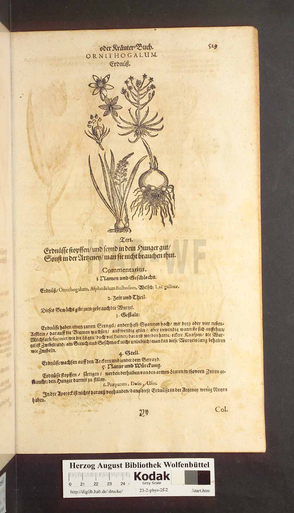 http://diglib.hab.de/drucke/23-2-phys-2f-2/00529.jpg