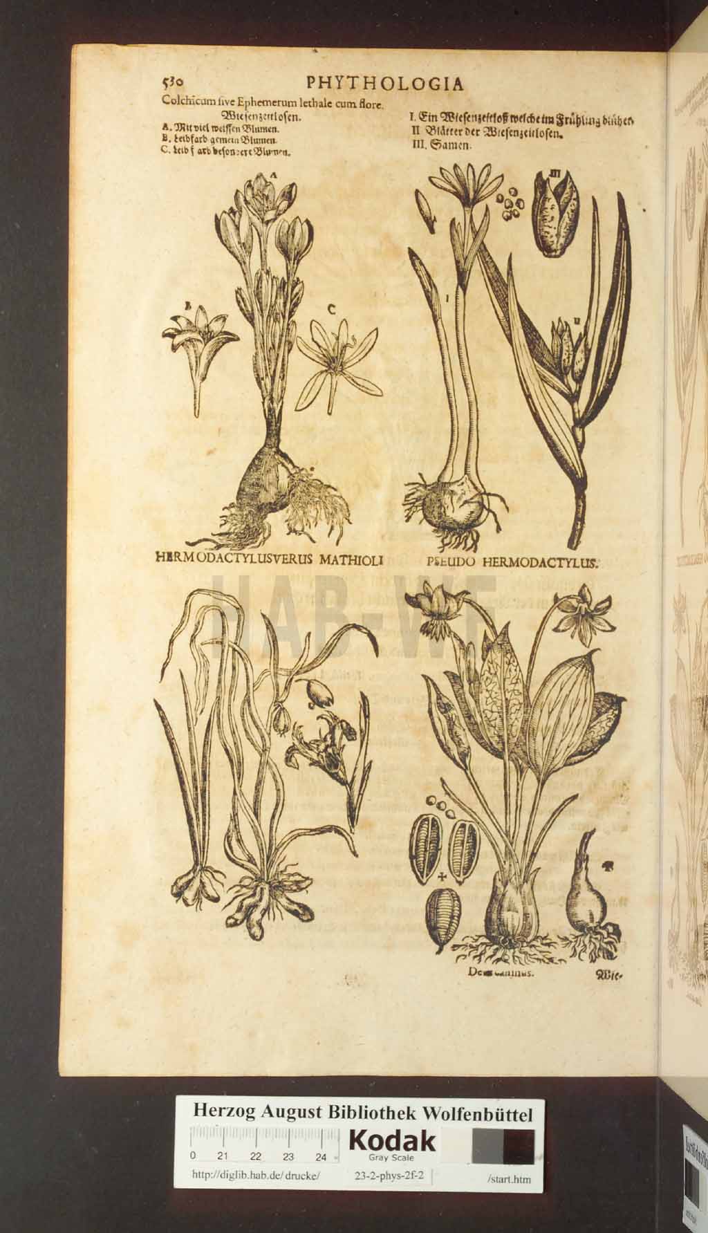 http://diglib.hab.de/drucke/23-2-phys-2f-2/00530.jpg
