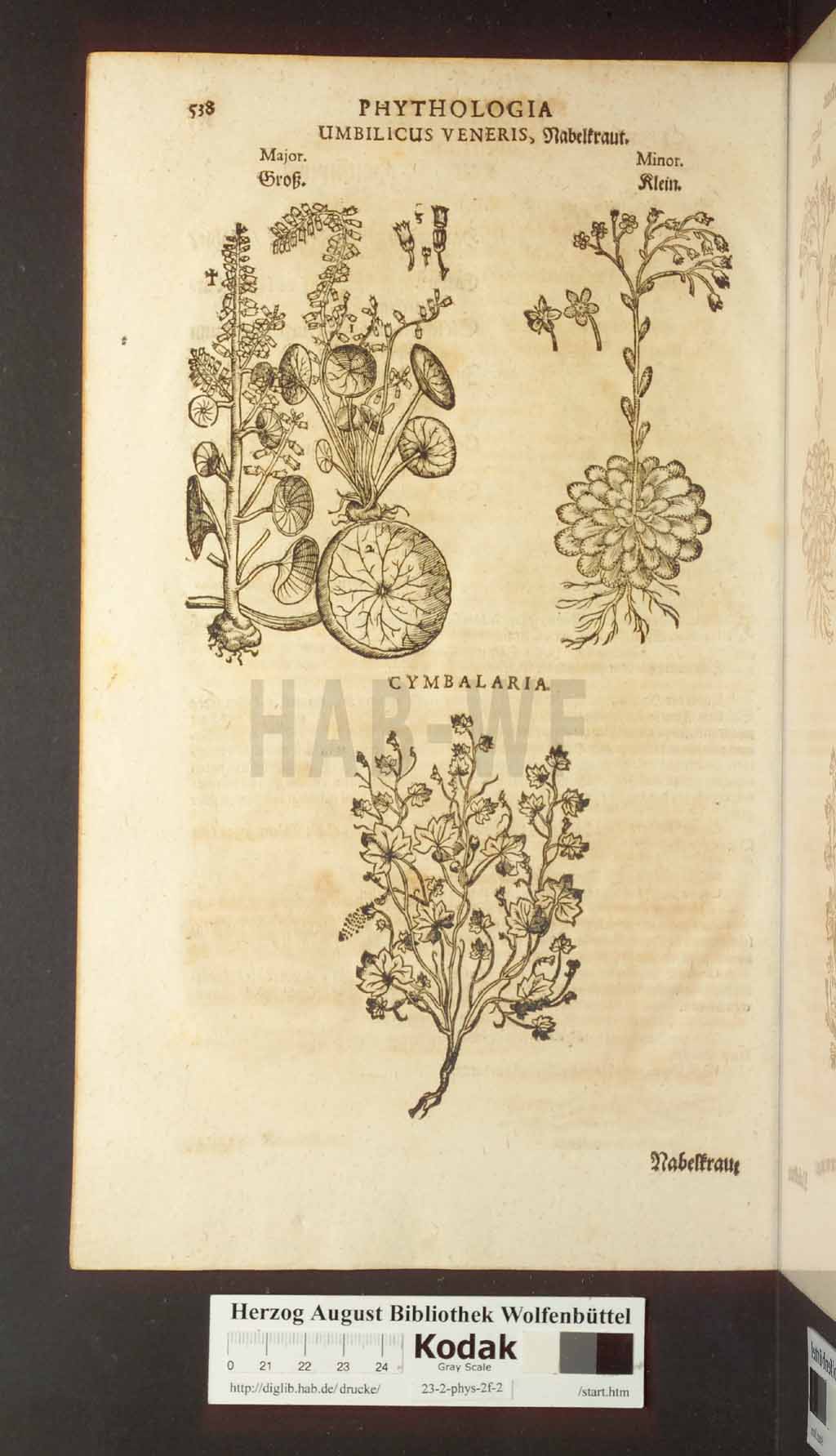 http://diglib.hab.de/drucke/23-2-phys-2f-2/00538.jpg