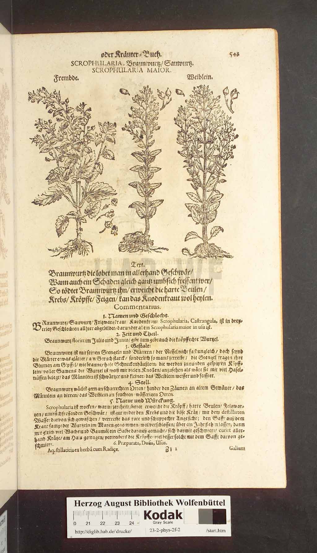 http://diglib.hab.de/drucke/23-2-phys-2f-2/00543.jpg