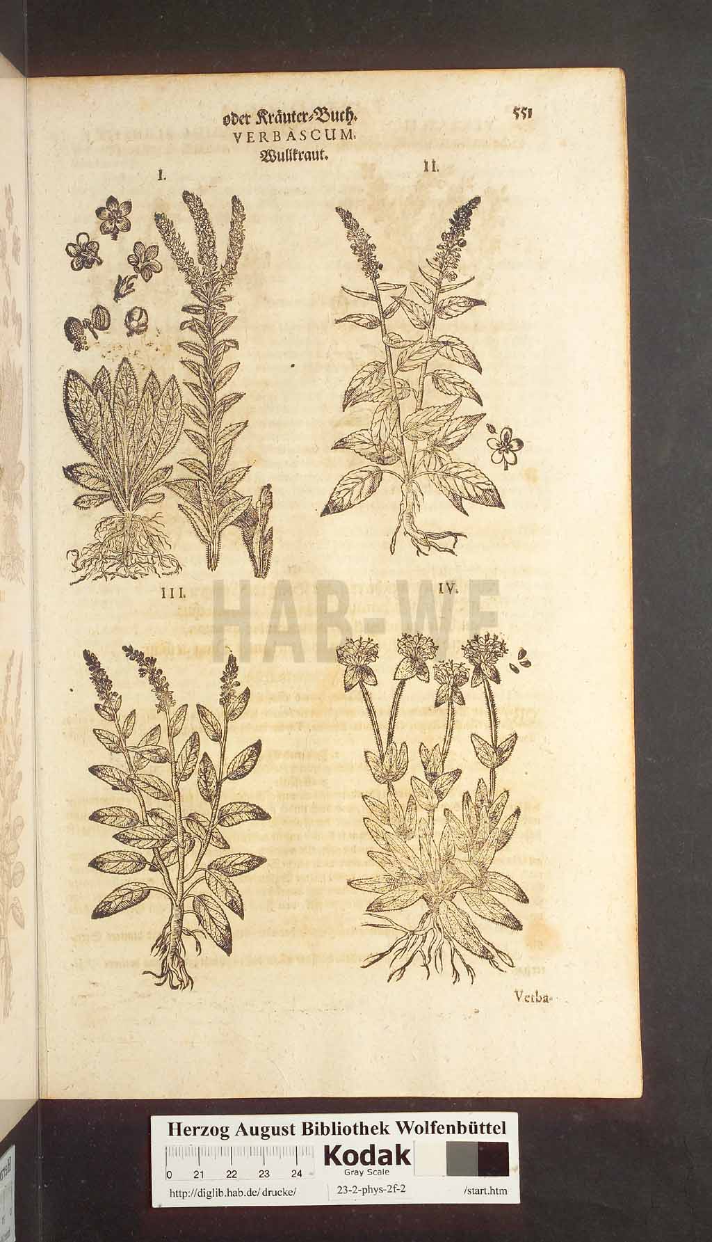 http://diglib.hab.de/drucke/23-2-phys-2f-2/00551.jpg